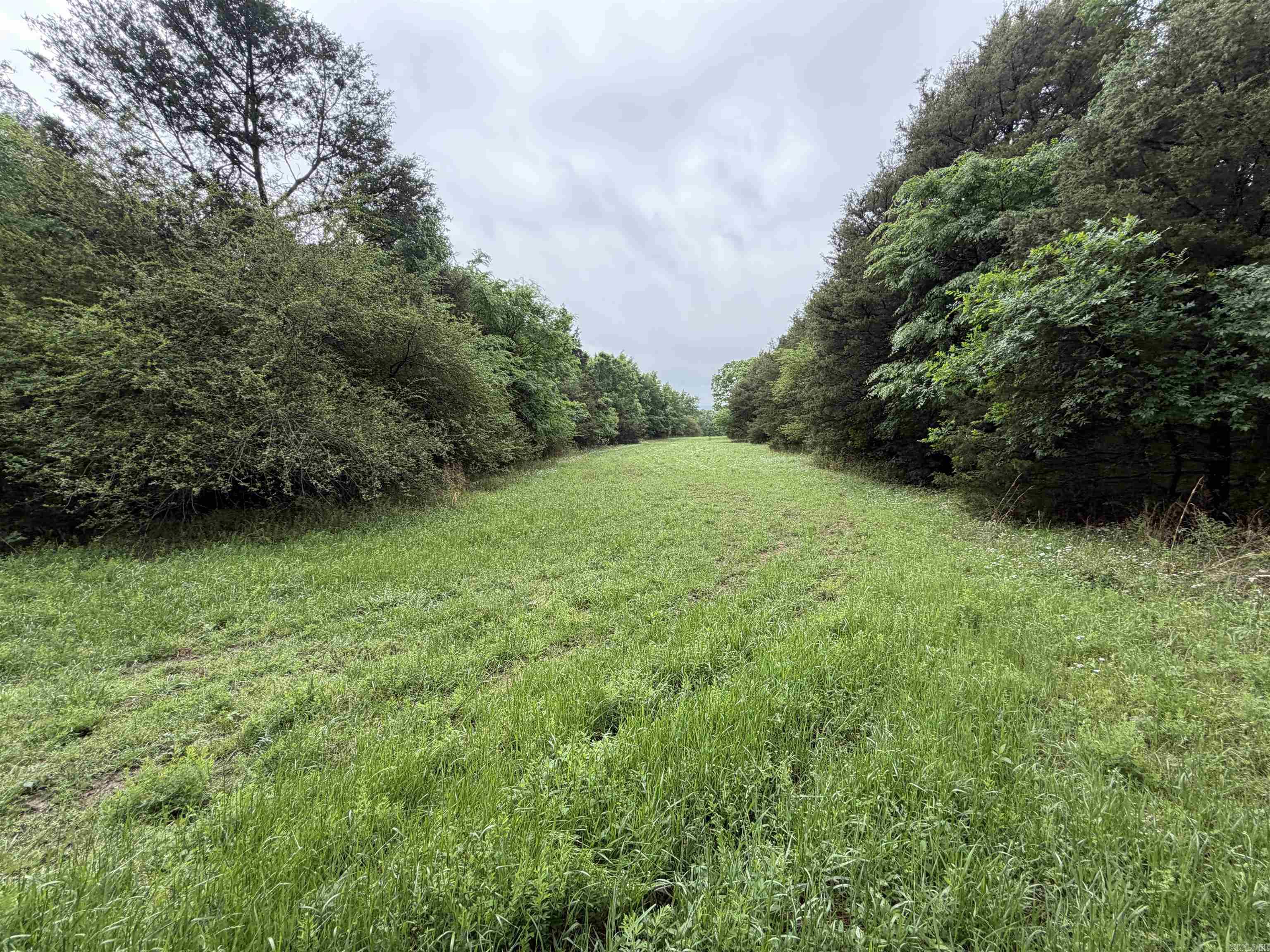 1457 N 2Nd St  Ozark, AR