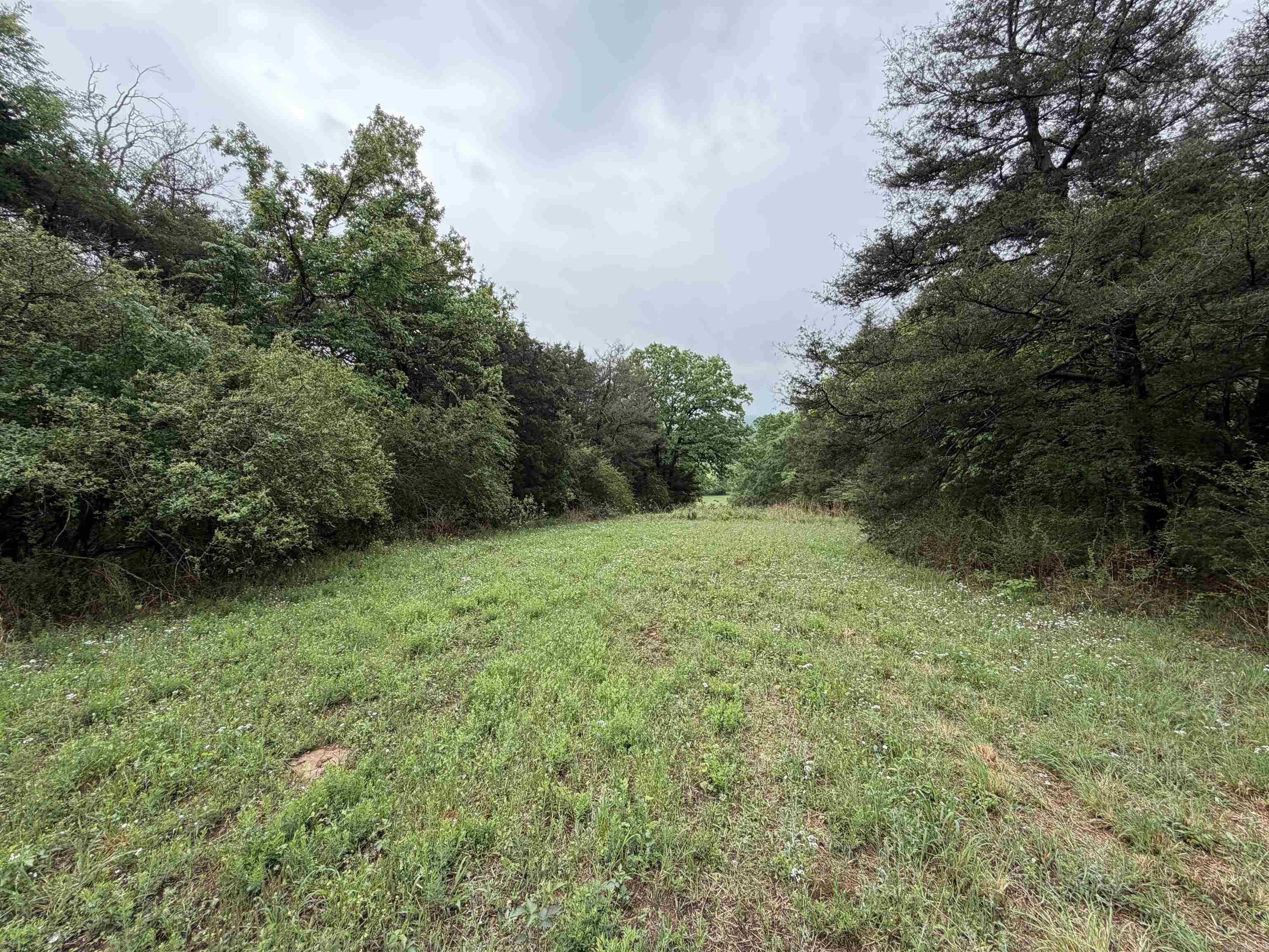 1457 N 2Nd St  Ozark, AR