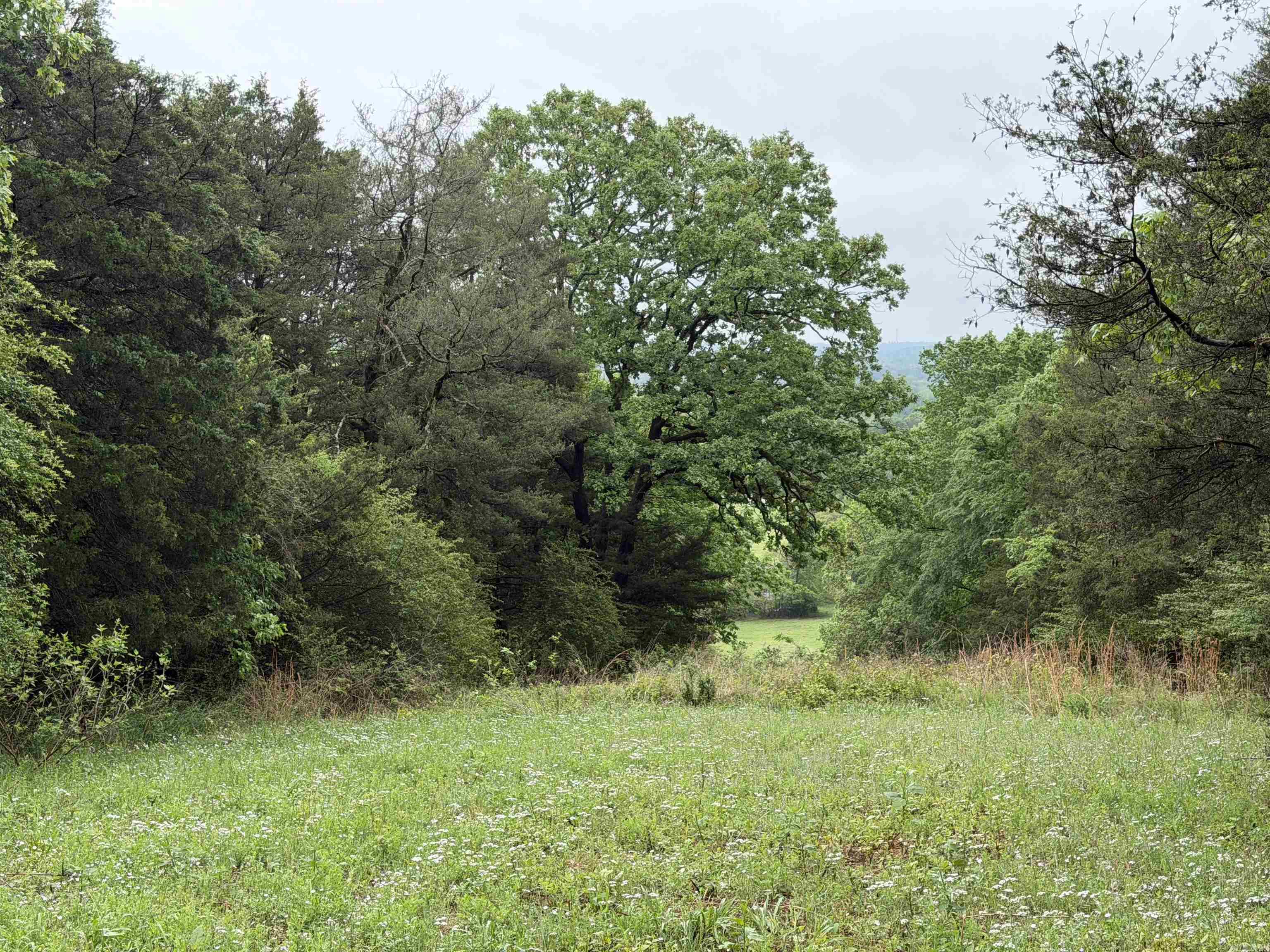 1457 N 2Nd St  Ozark, AR