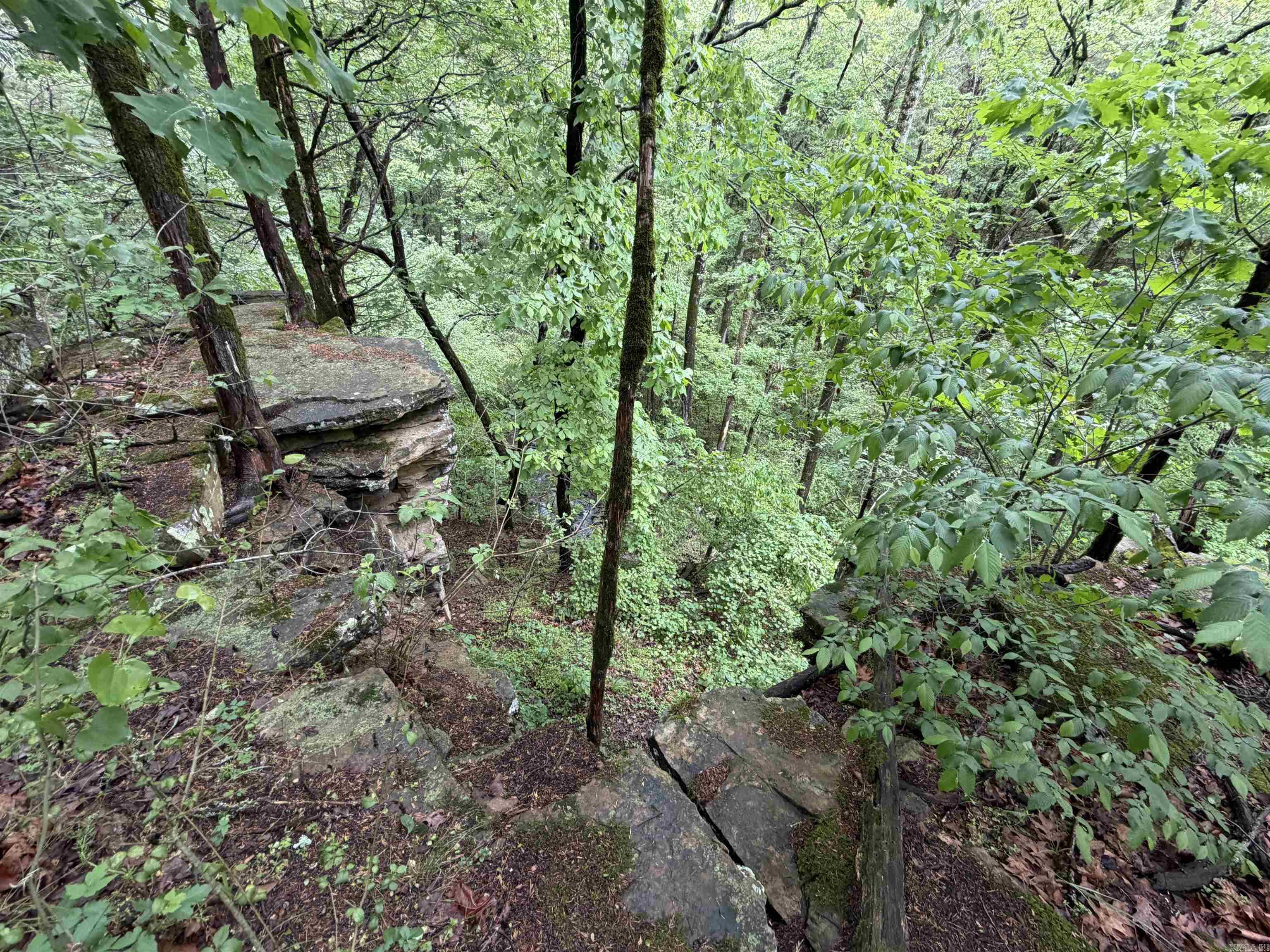 1457 N 2Nd St  Ozark, AR