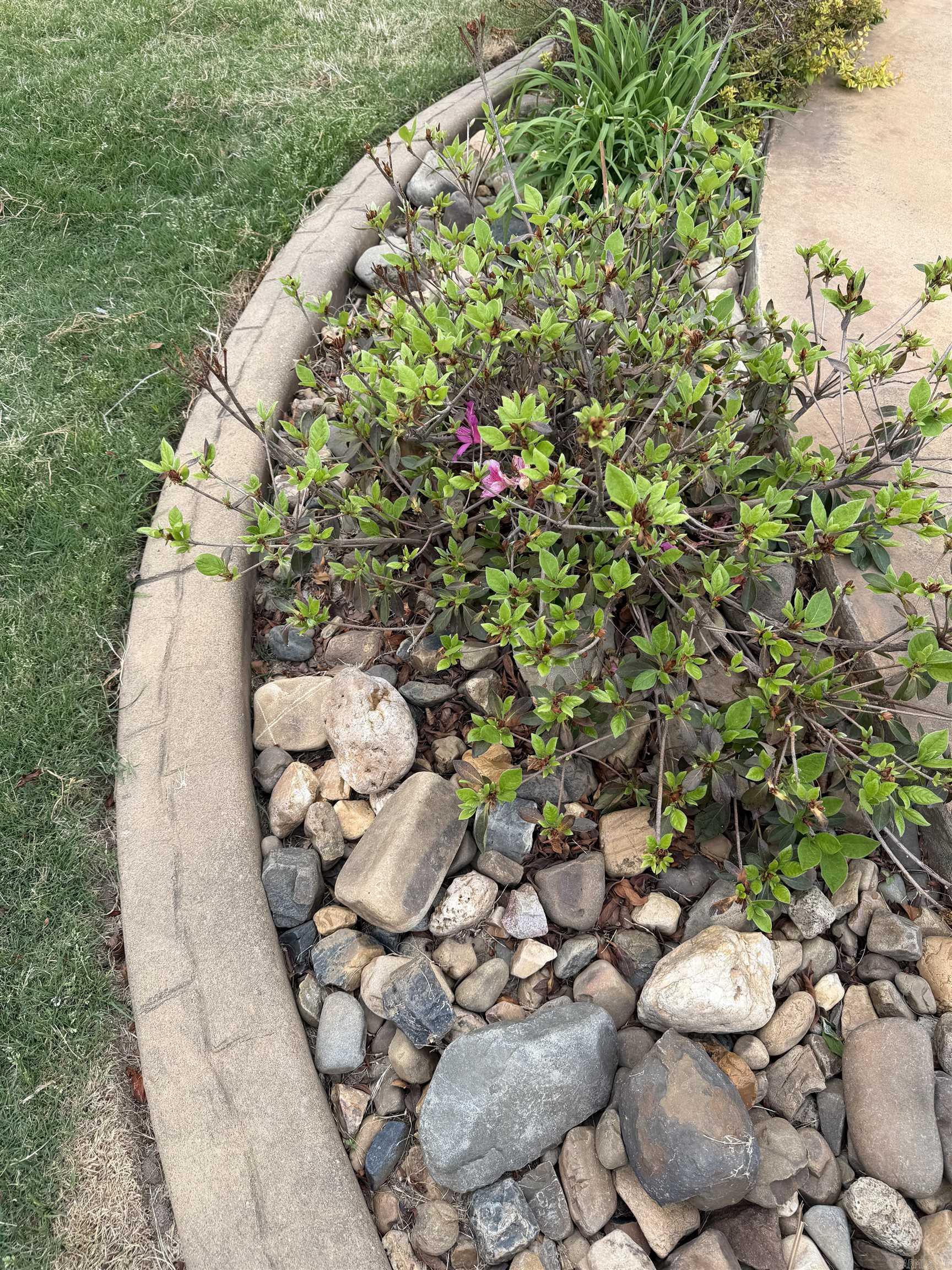 23 Sioux Dr  Austin, AR