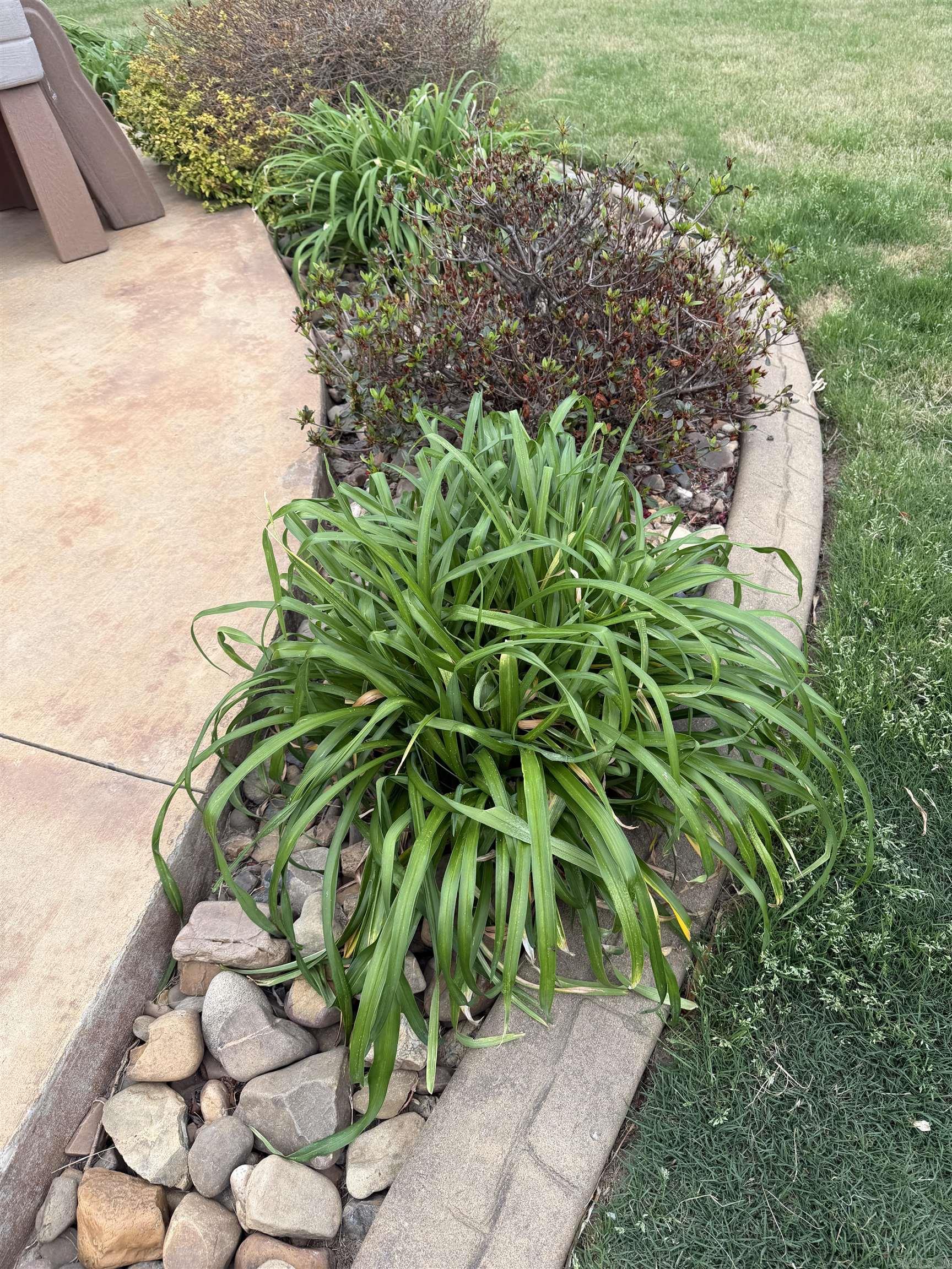 23 Sioux Dr  Austin, AR