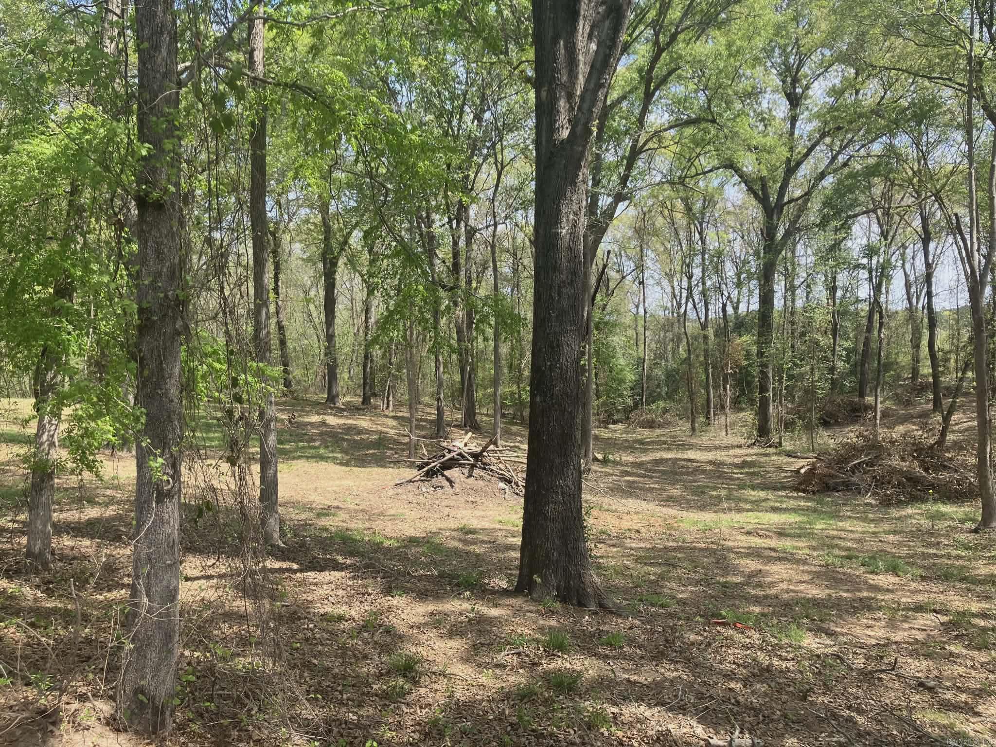 433 Little River 736  Ashdown, AR