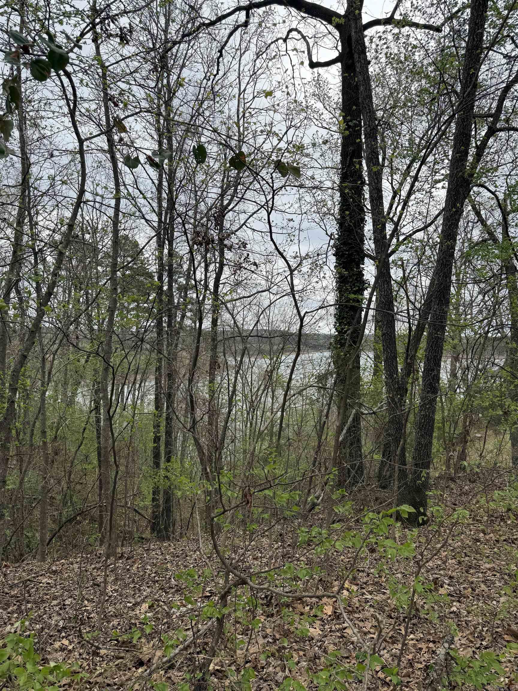 00 Klondike Road  Clinton, AR