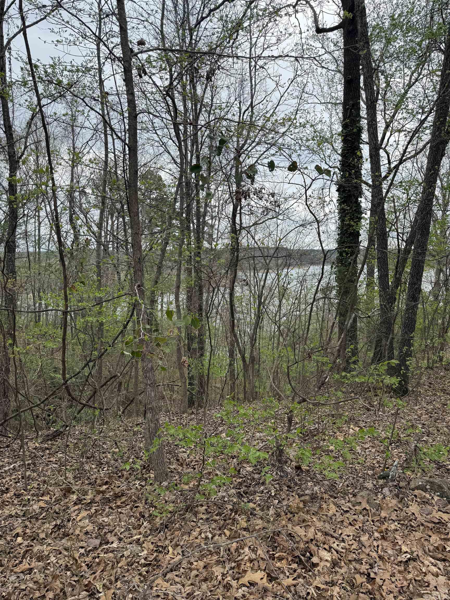 00 Klondike Road  Clinton, AR