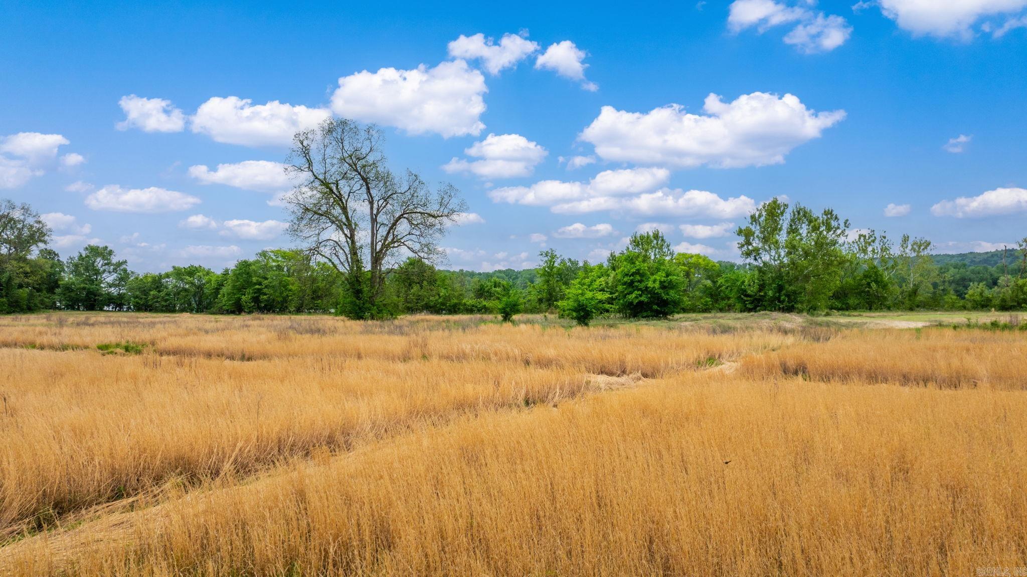 0 Easterwood Point (#1 of 10 acres of tract 2) Mayflower, AR