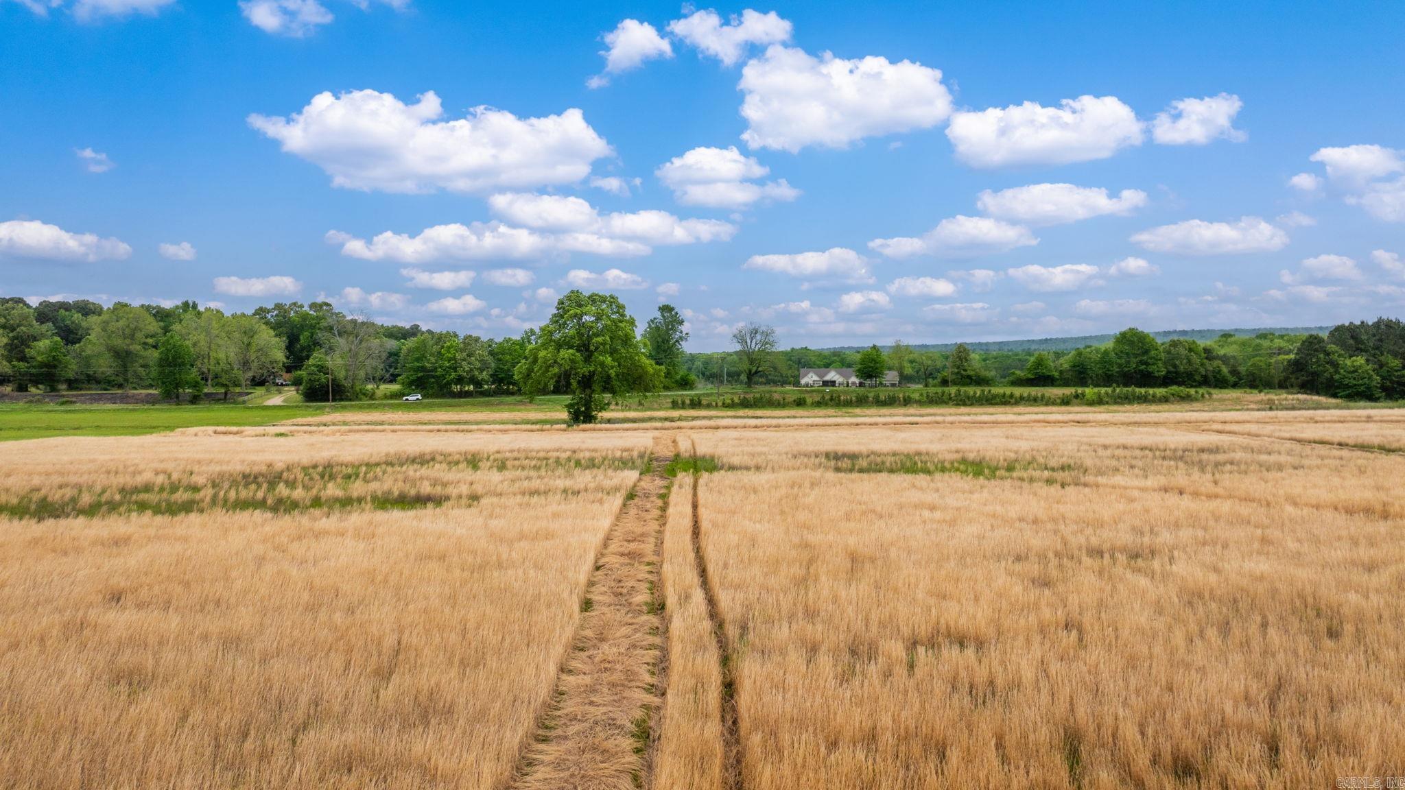 0 Easterwood Point (#1 of 10 acres of tract 2) Mayflower, AR