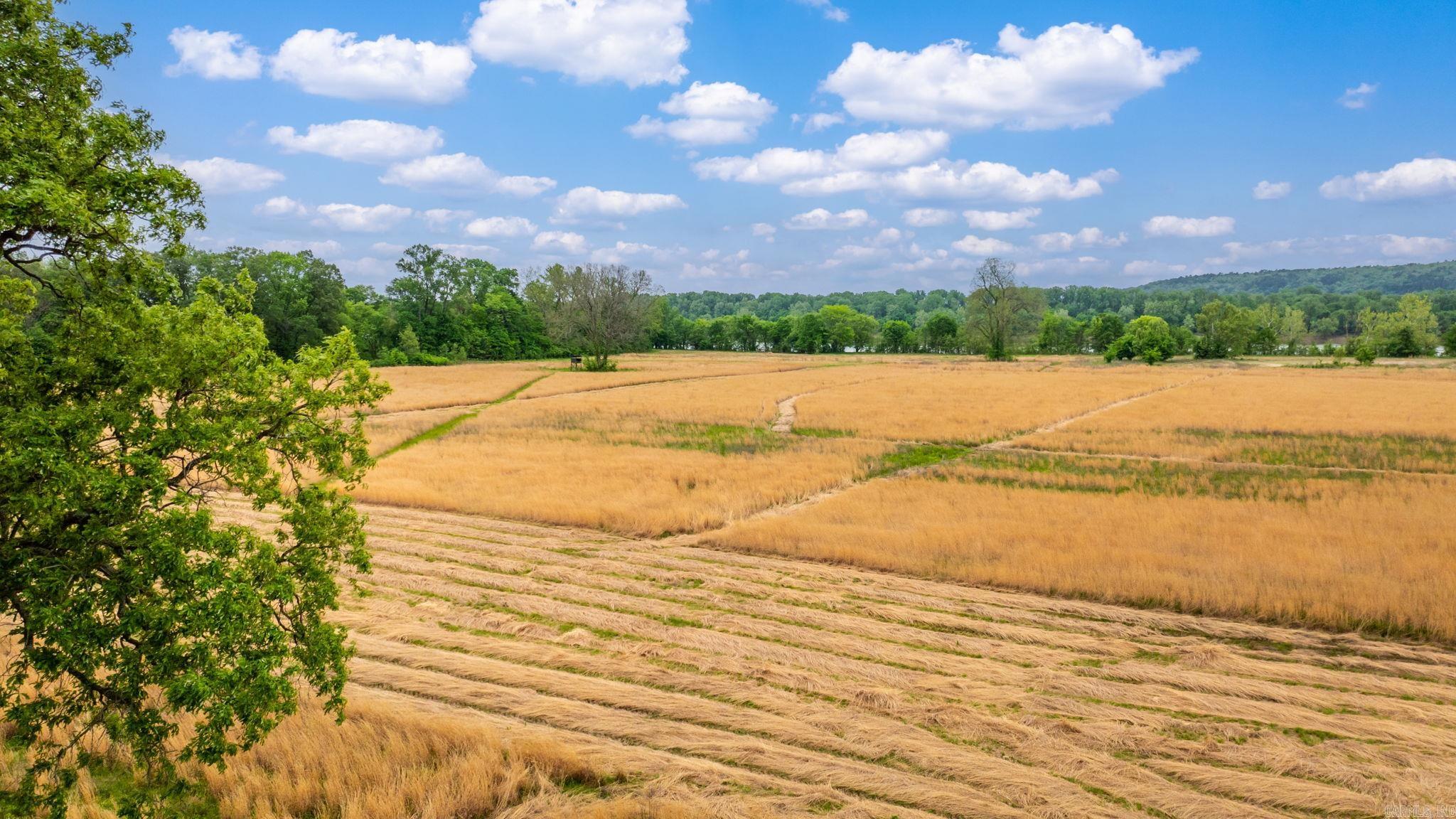 0 Easterwood Point (#1 of 10 acres of tract 2) Mayflower, AR