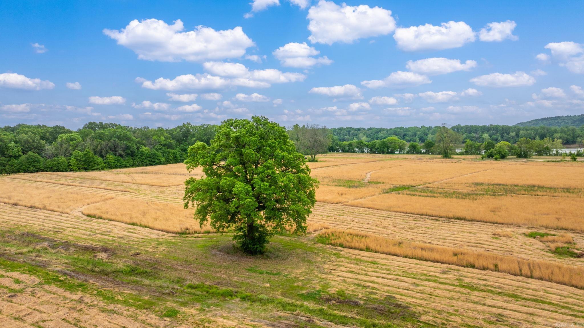 0 Easterwood Point (#1 of 10 acres of tract 2) Mayflower, AR