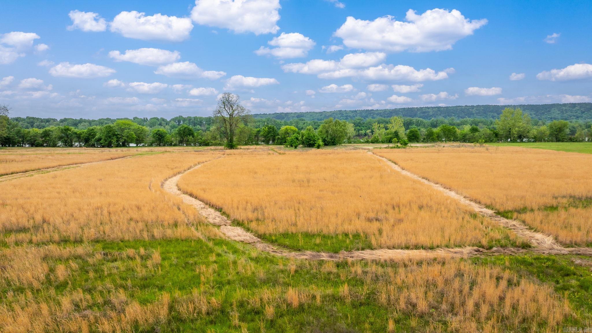 0 Easterwood Point (#2 10 acres of tract 2) Mayflower, AR