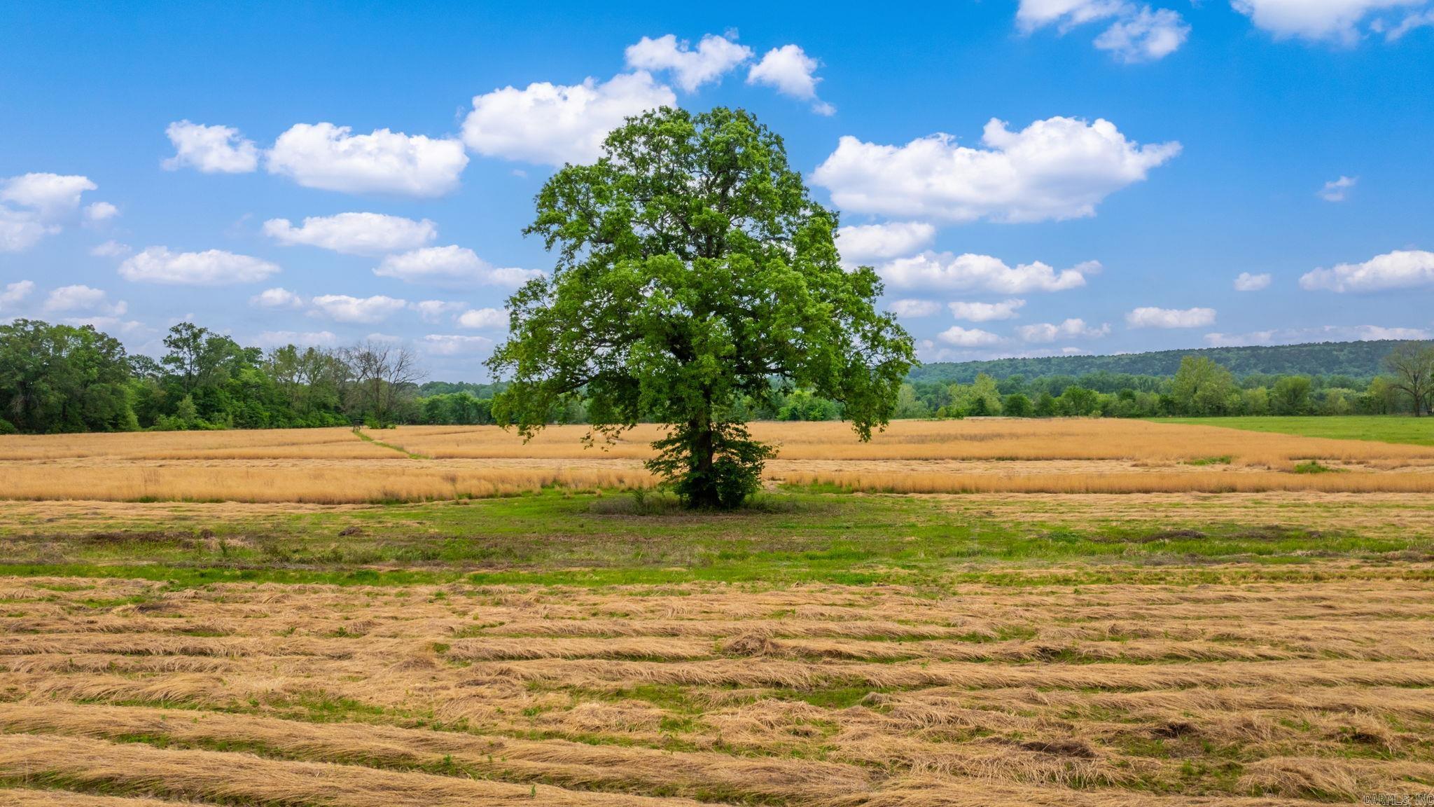 0 Easterwood Point (#2 10 acres of tract 2) Mayflower, AR