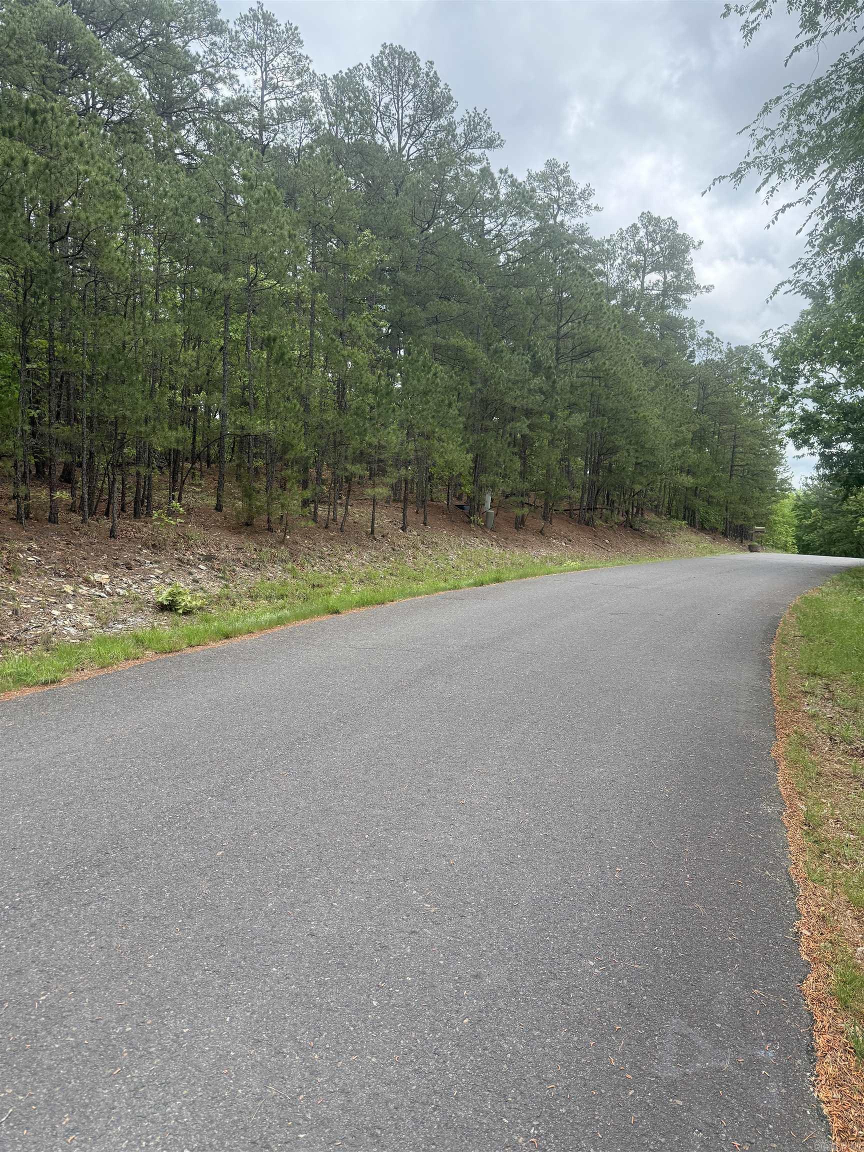 37 Dominar  Hot Springs Village, AR