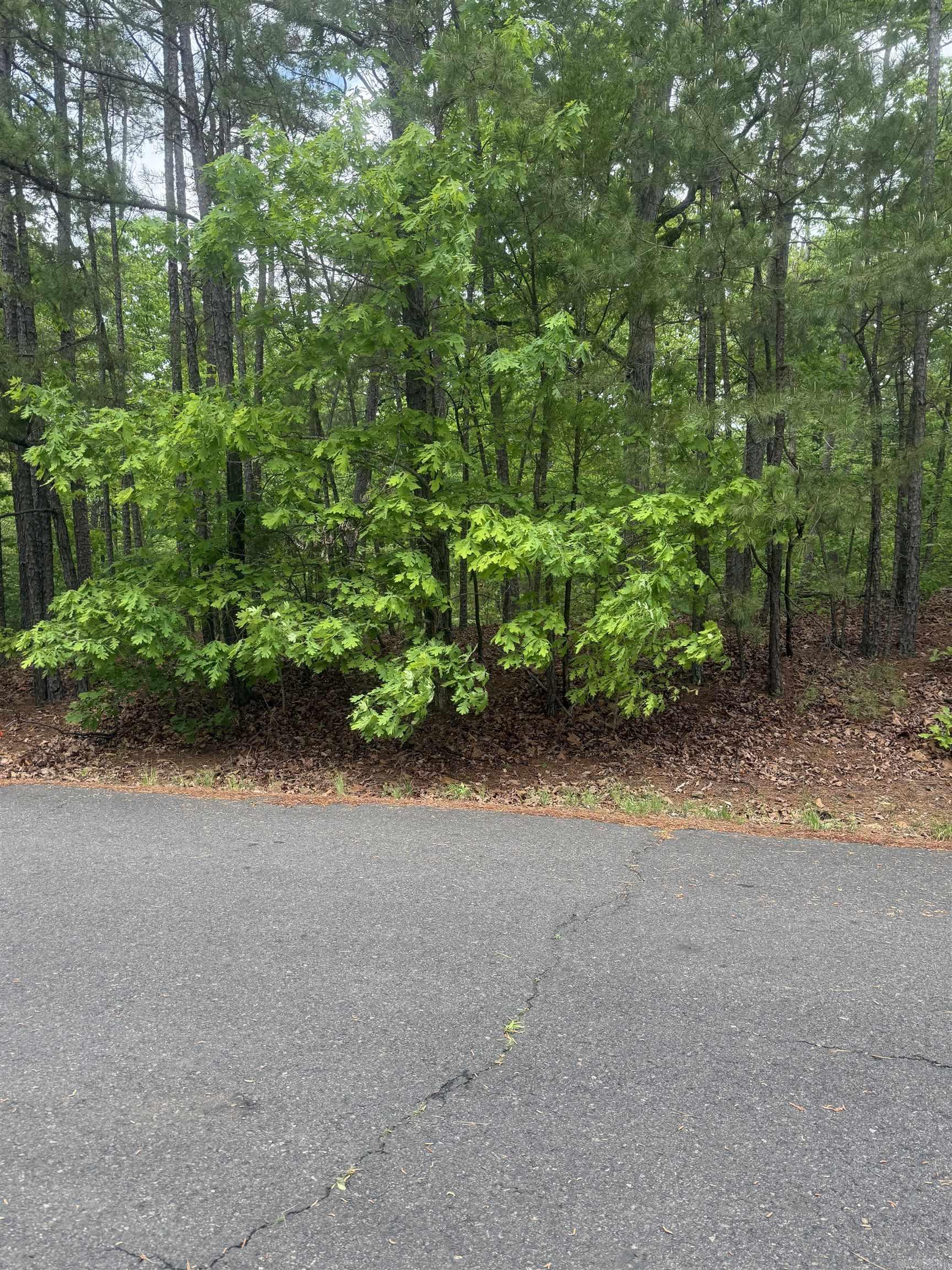 37 Dominar  Hot Springs Village, AR