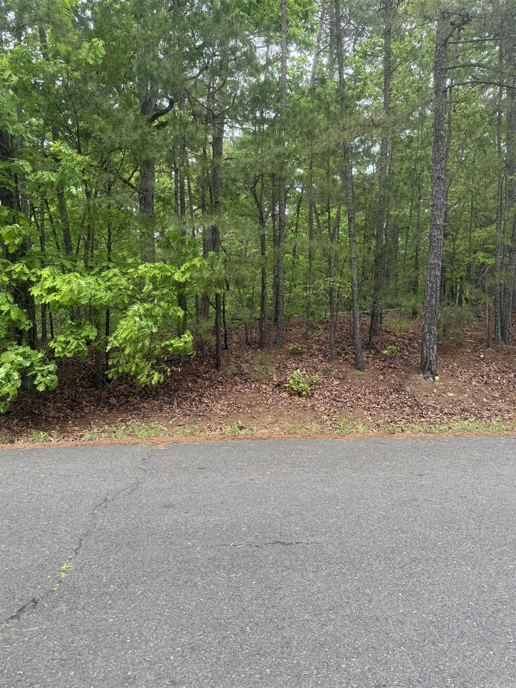 37 Dominar  Hot Springs Village, AR