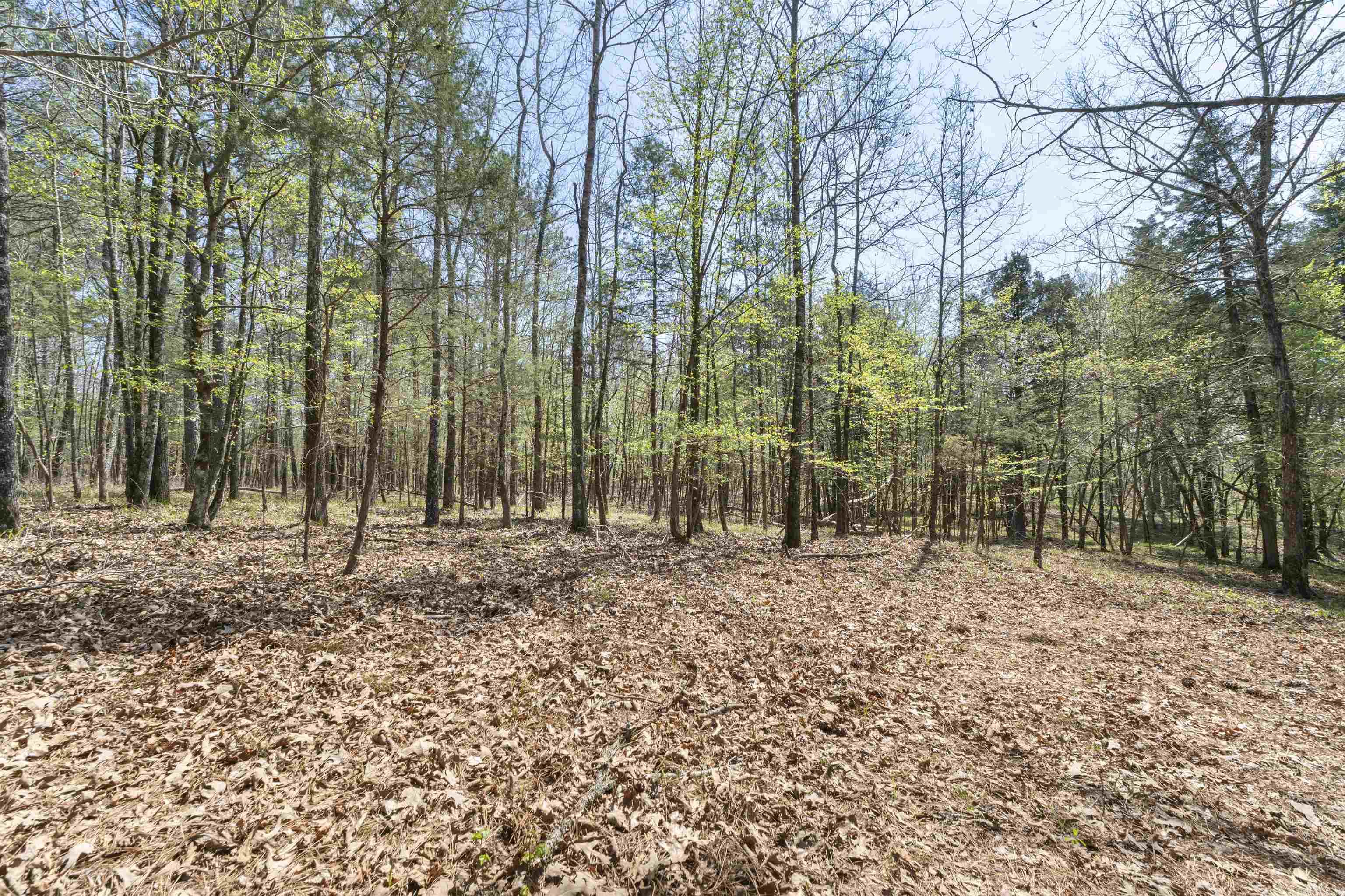 00 Pool  Lonsdale, AR