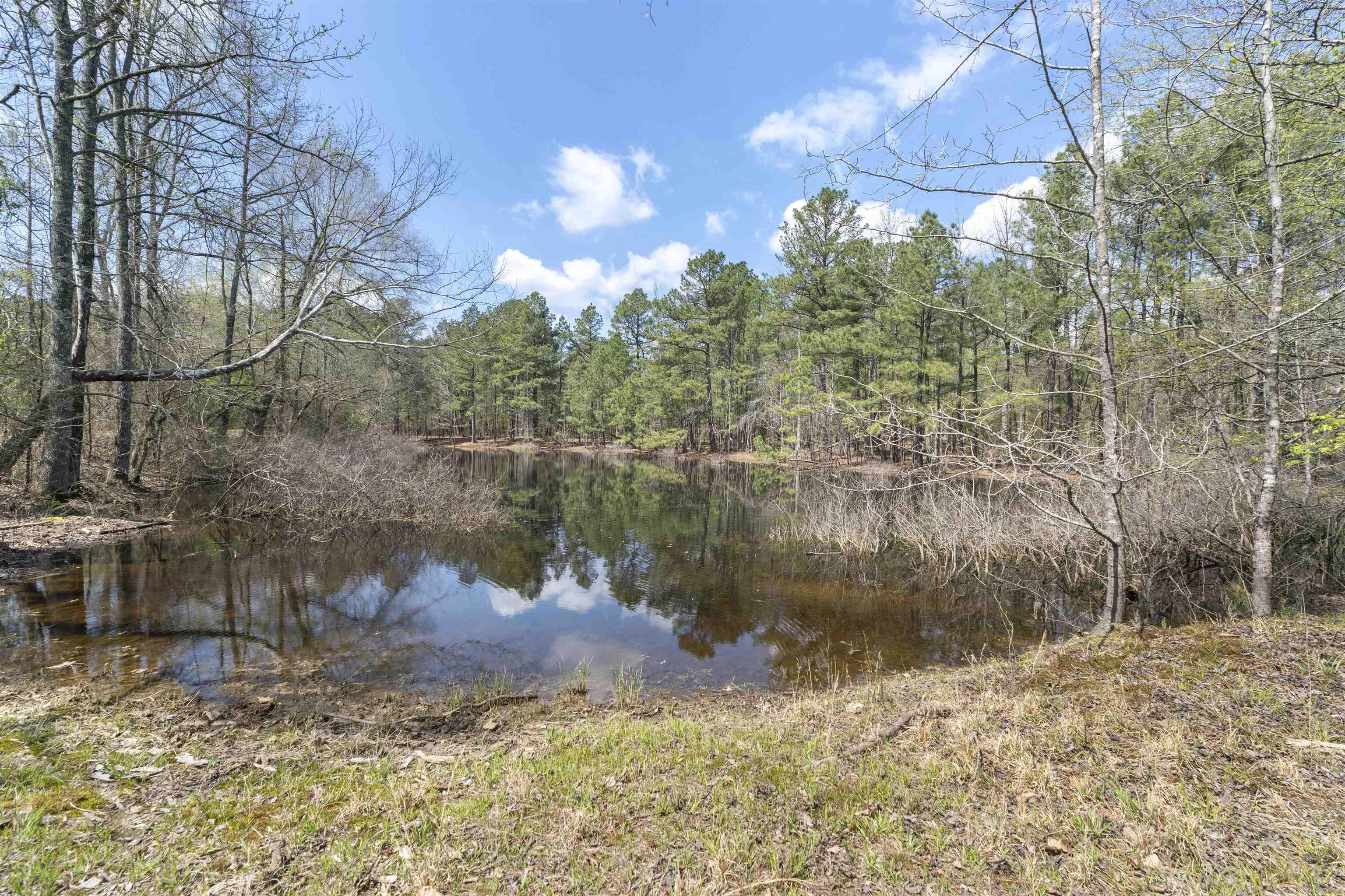 00 Pool  Lonsdale, AR