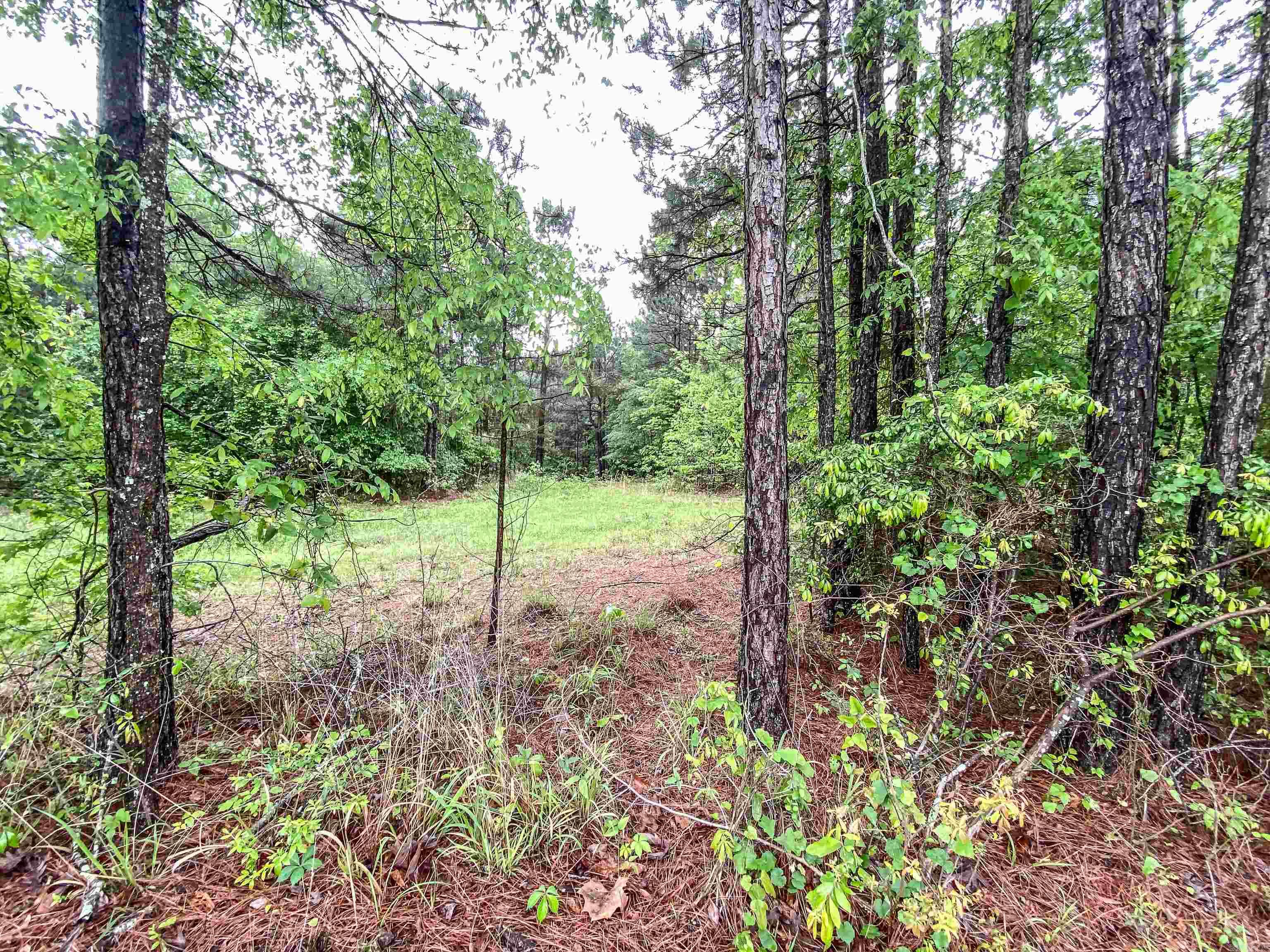 1801 Edgewood  Bismarck, AR