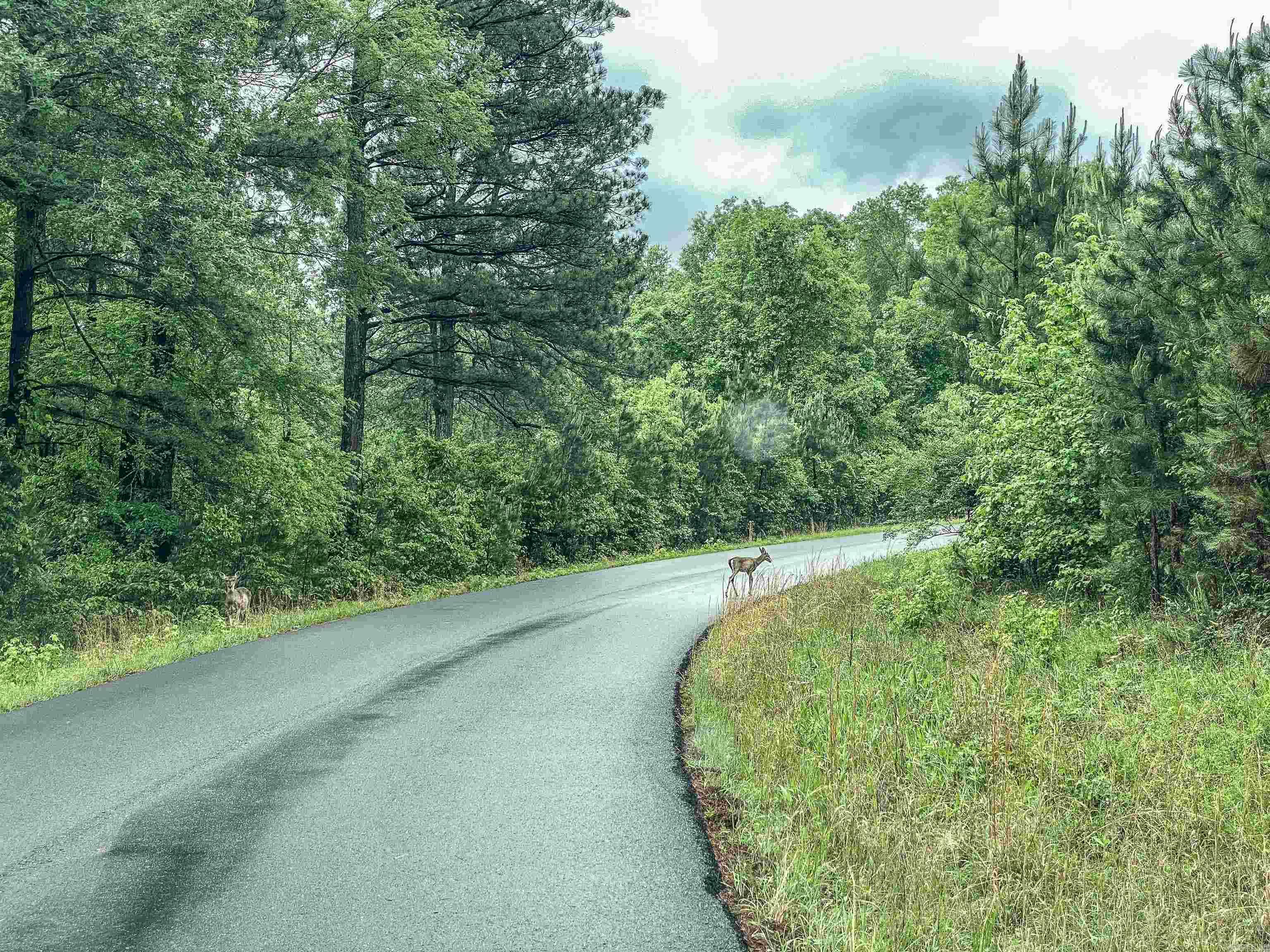 1801 Edgewood  Bismarck, AR