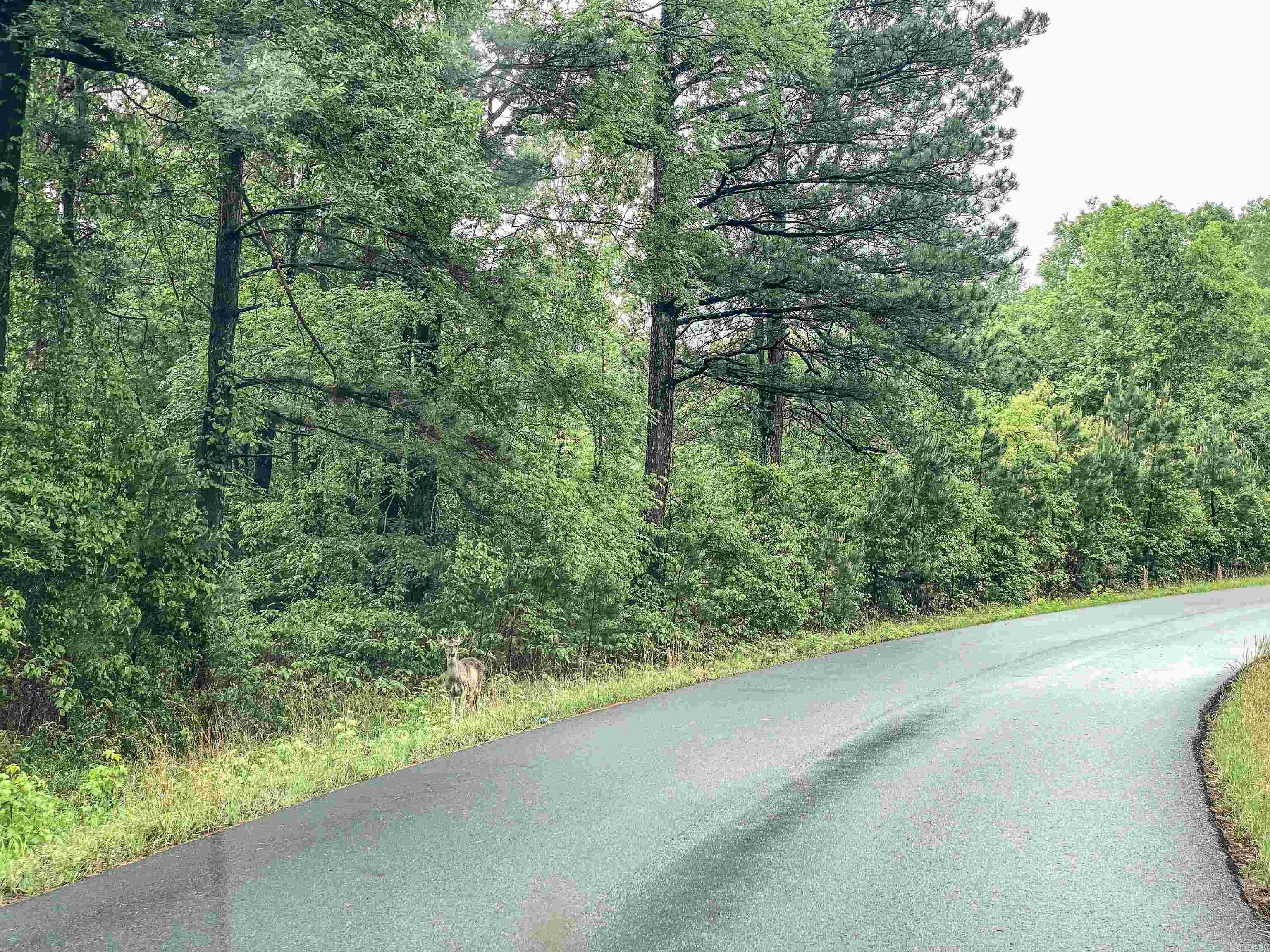 1801 Edgewood  Bismarck, AR