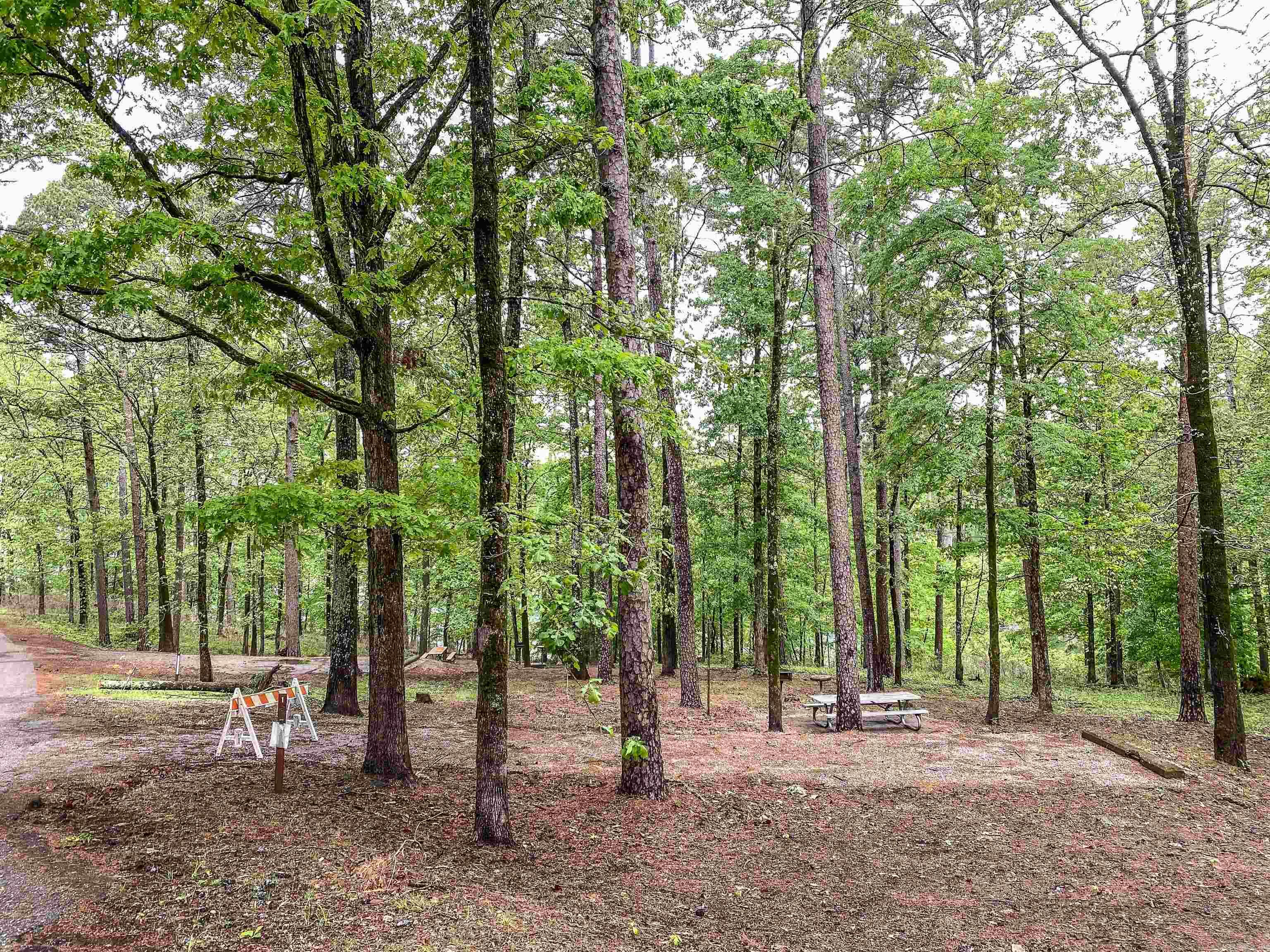 1801 Edgewood  Bismarck, AR