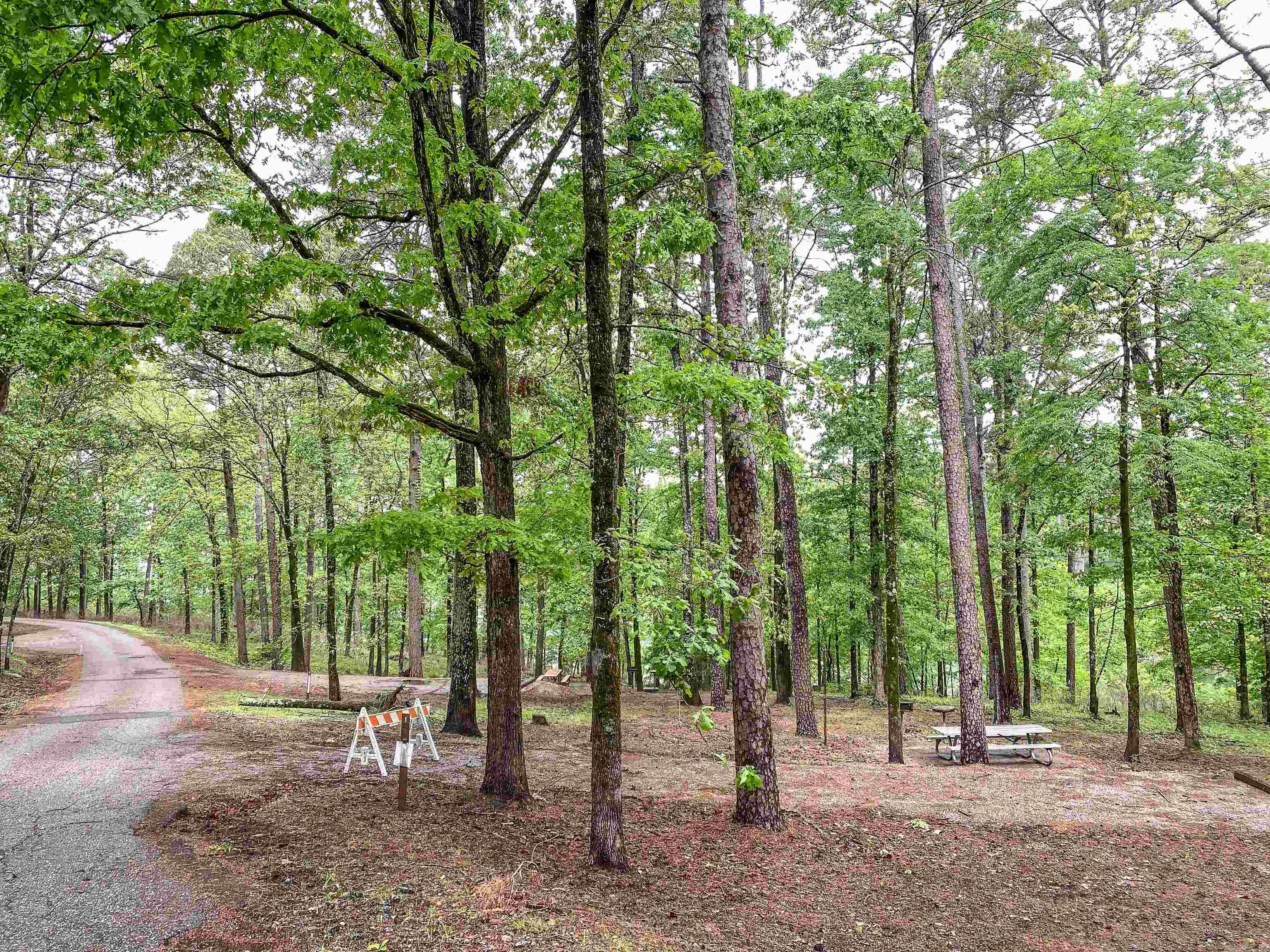 1801 Edgewood  Bismarck, AR