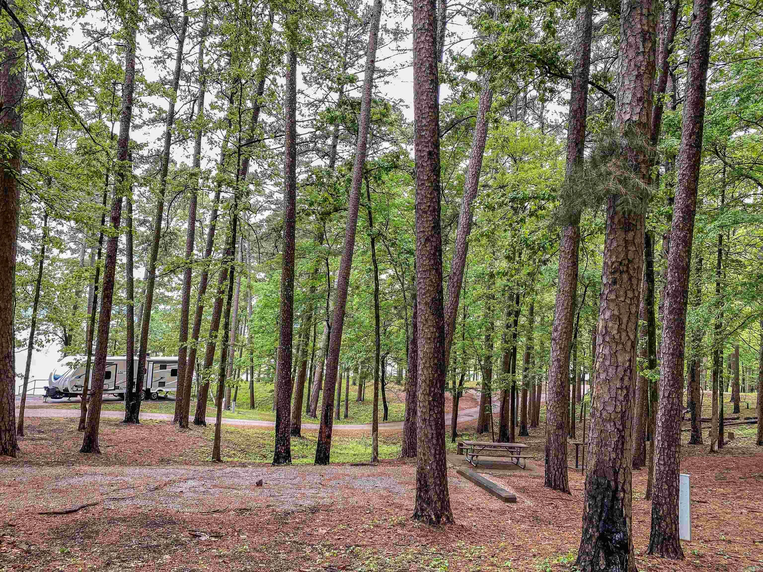 1801 Edgewood  Bismarck, AR