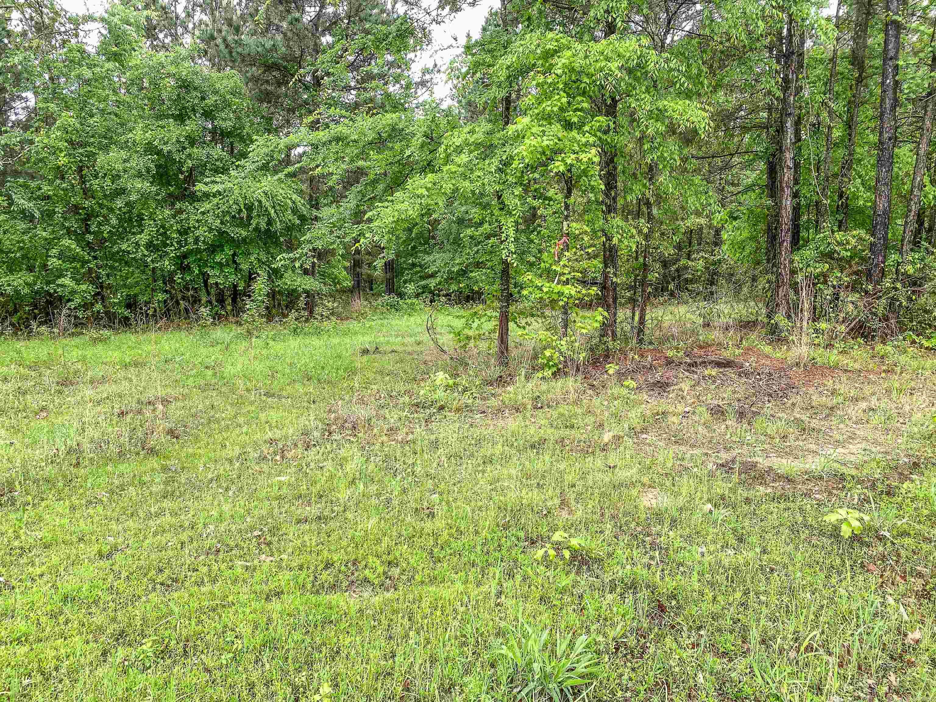 1801 Edgewood  Bismarck, AR