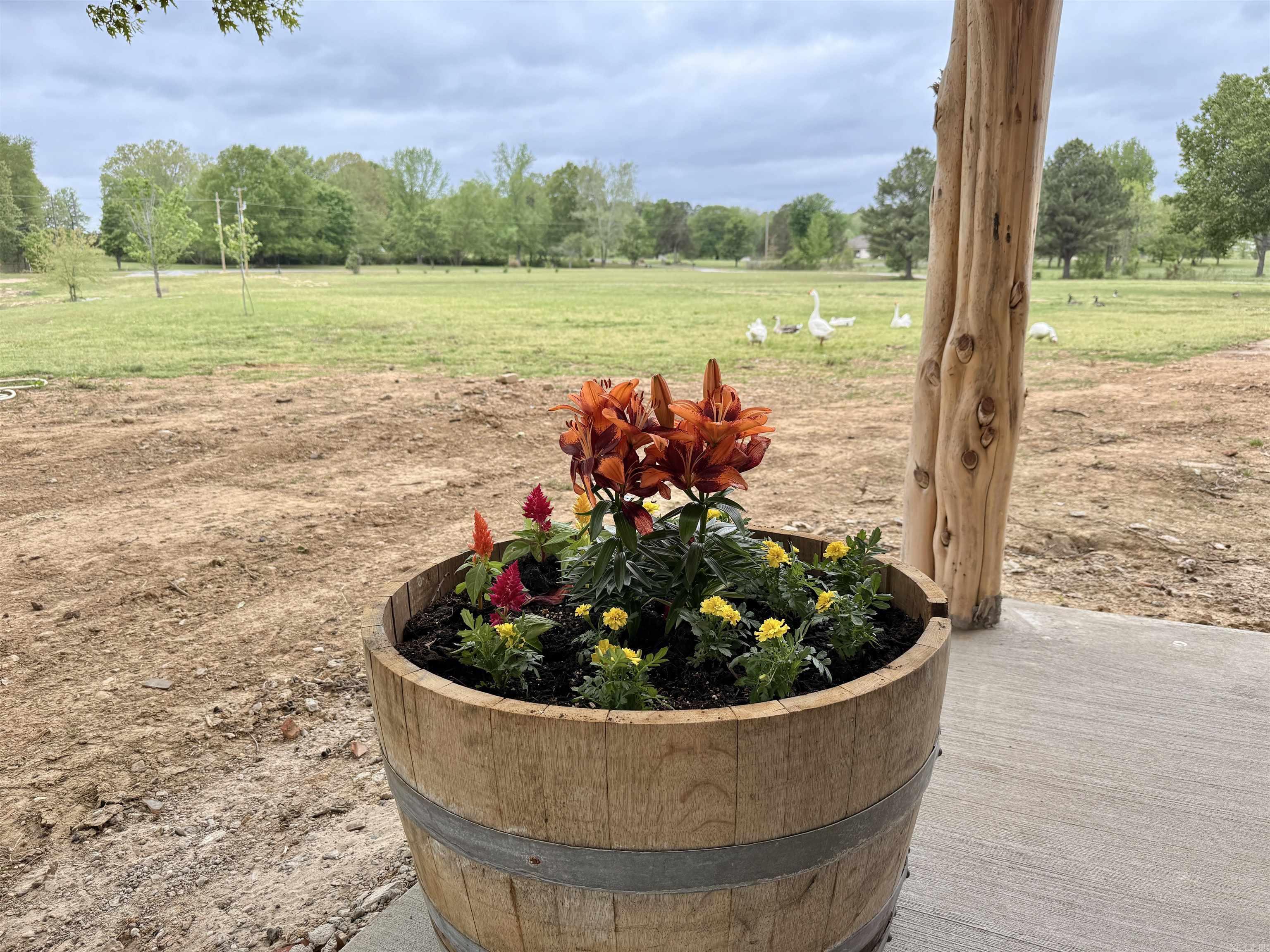 155 Woodard Ln.  Heber Springs, AR