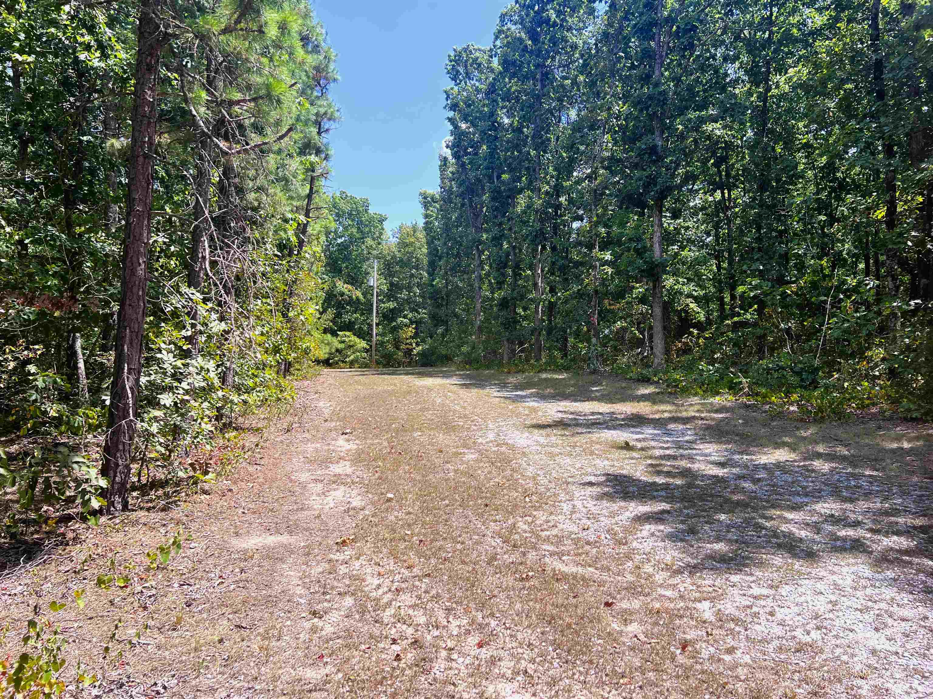 140 Danny  Mountain View, AR