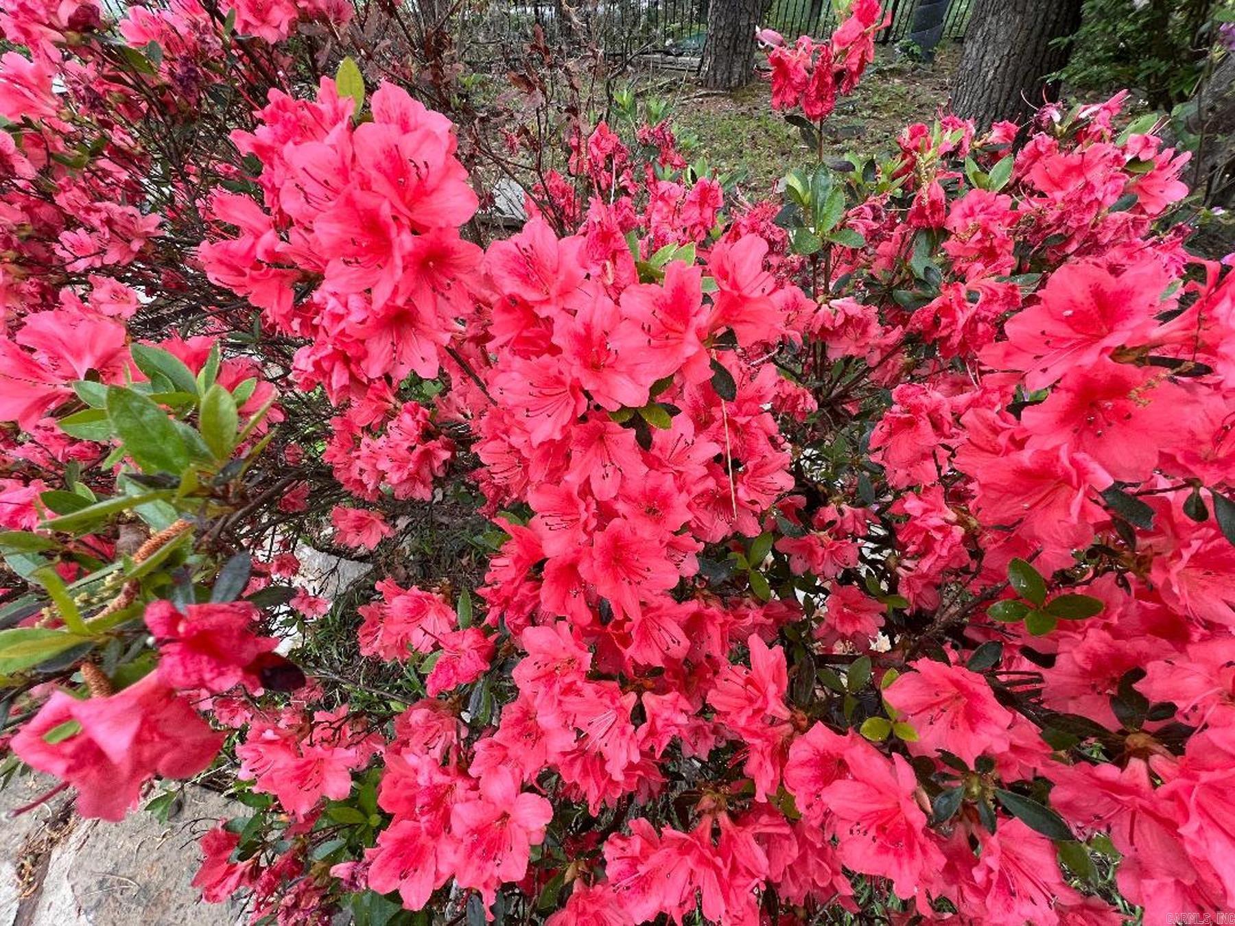 15 S Pego  Hot Springs Village, AR