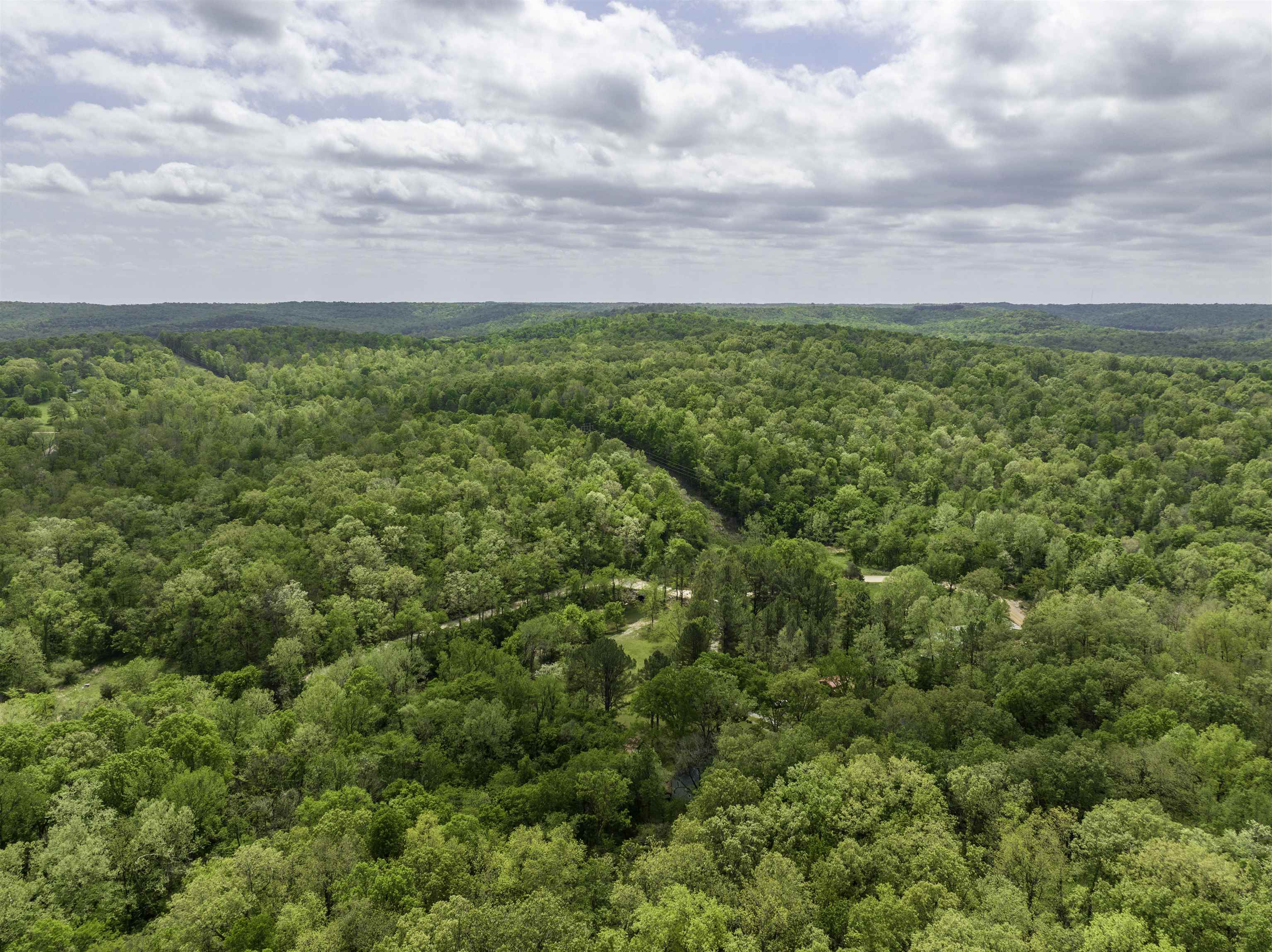 1063 Lawrence Road 106  Ravenden, AR