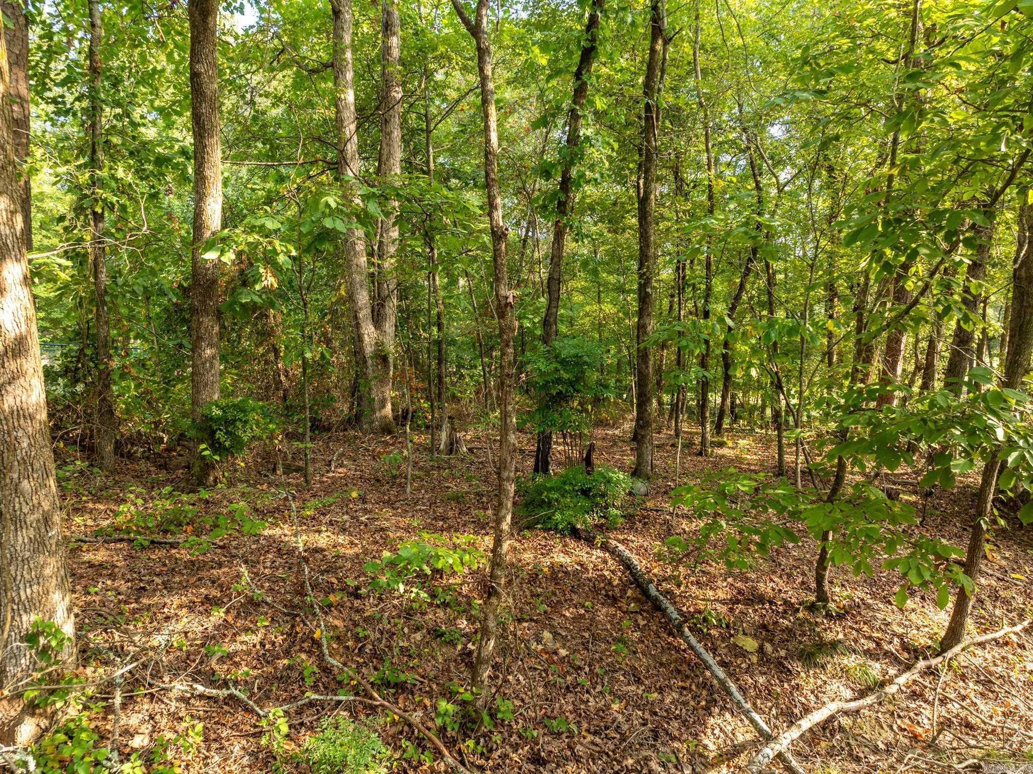 x Castillo  Hot Springs Village, AR