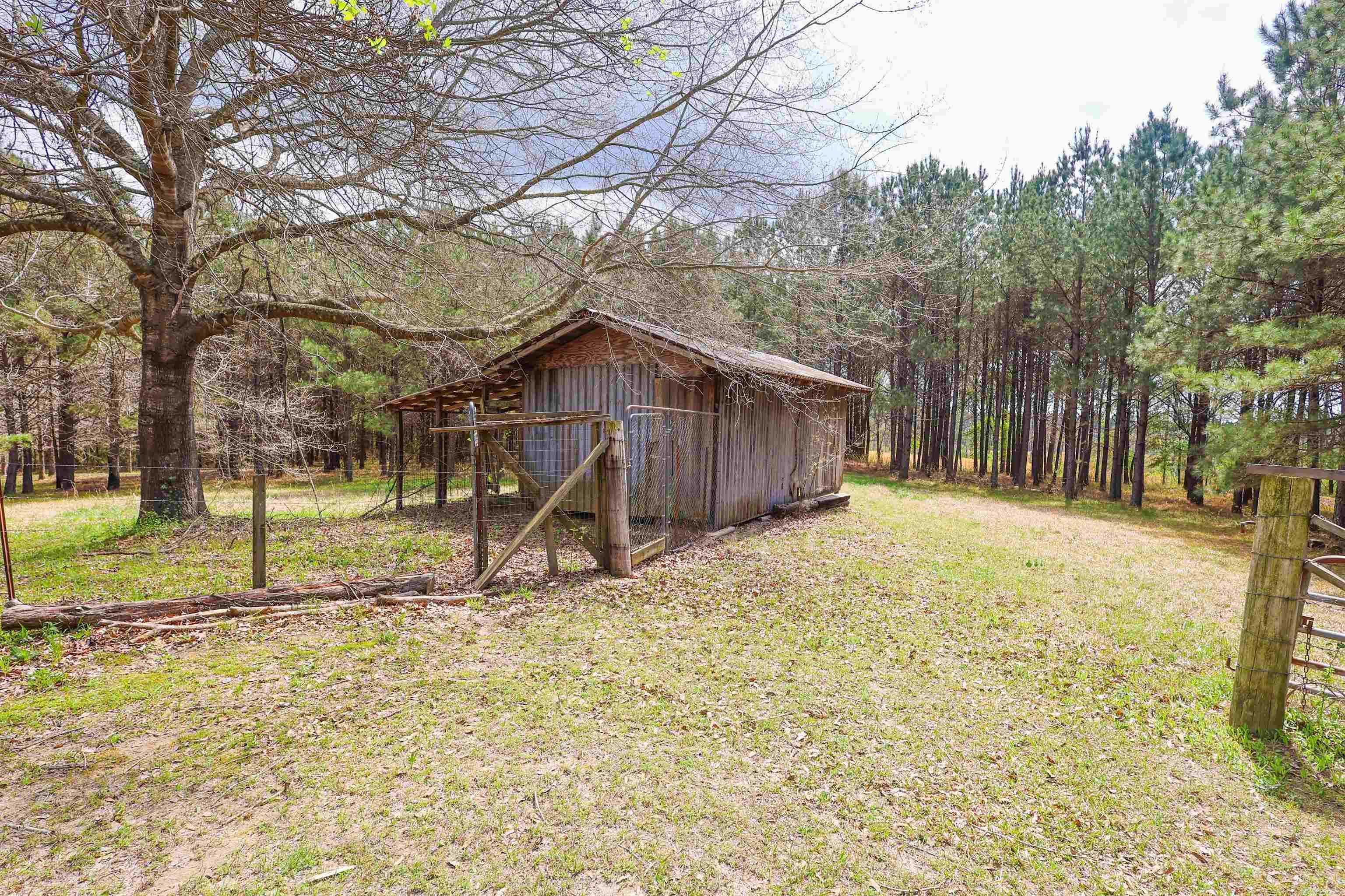 90 Marion Riley  Delight, AR