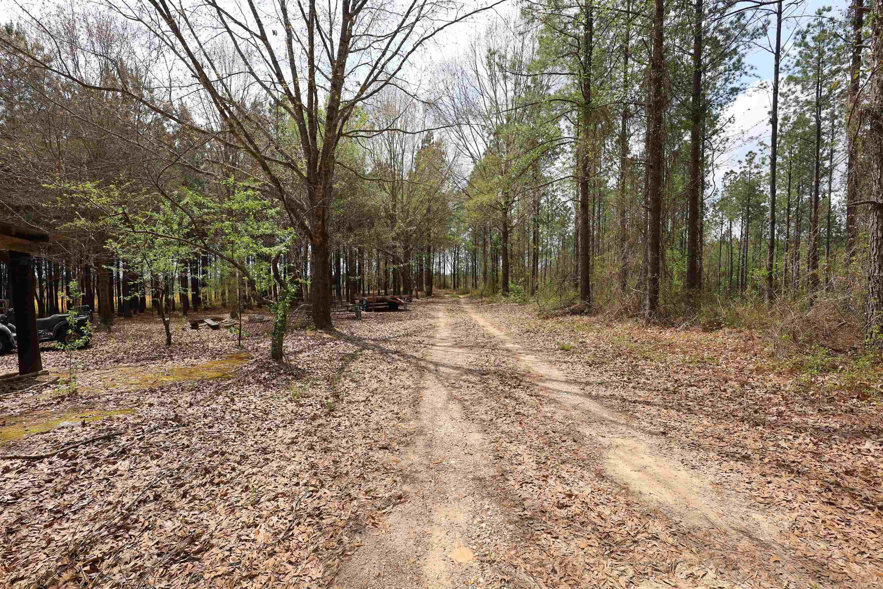 90 Marion Riley  Delight, AR