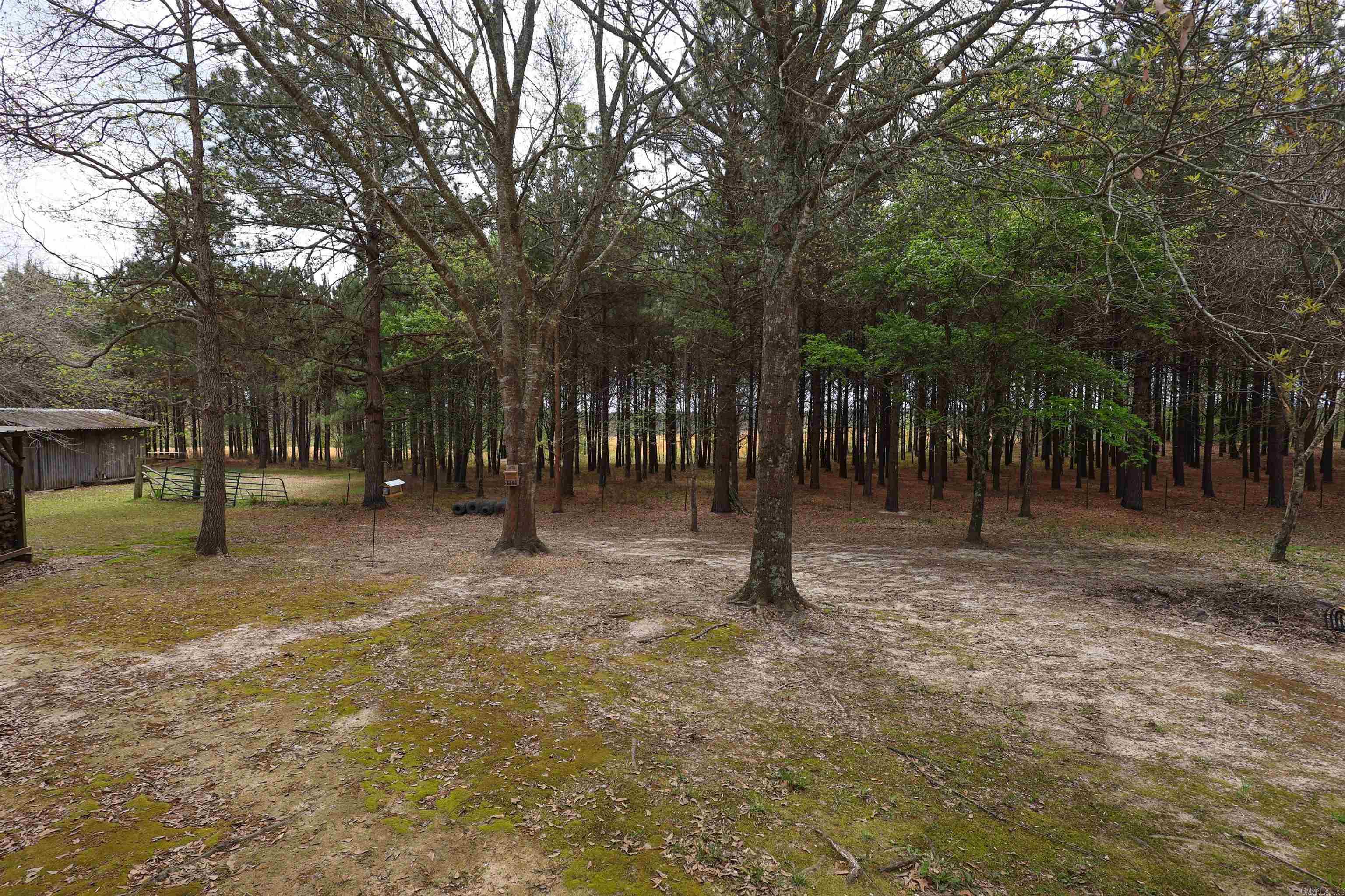 90 Marion Riley  Delight, AR