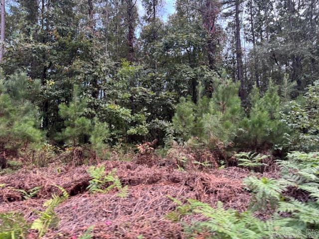 000 Perkins  Bonnerdale, AR