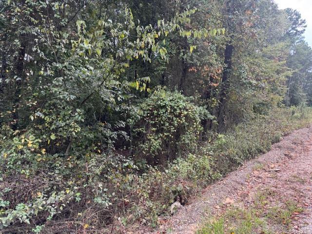 000 Perkins  Bonnerdale, AR