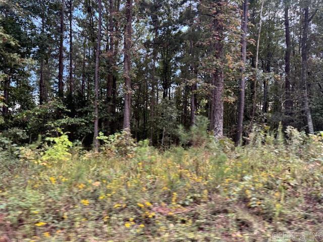 000 Perkins  Bonnerdale, AR