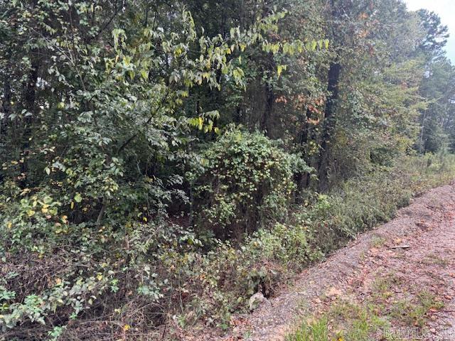 000 Perkins  Bonnerdale, AR