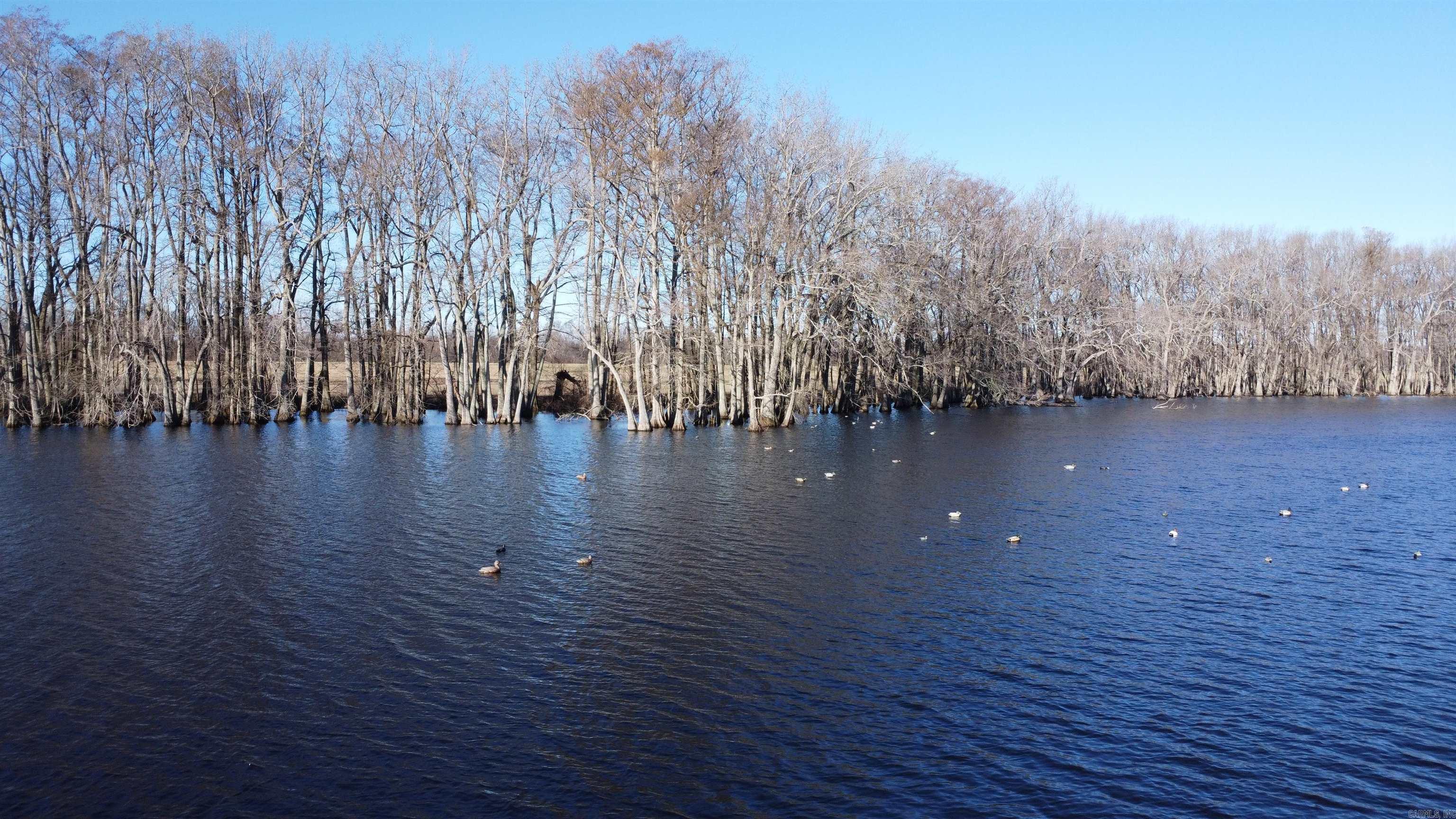 00 sfc 431  Widener, AR