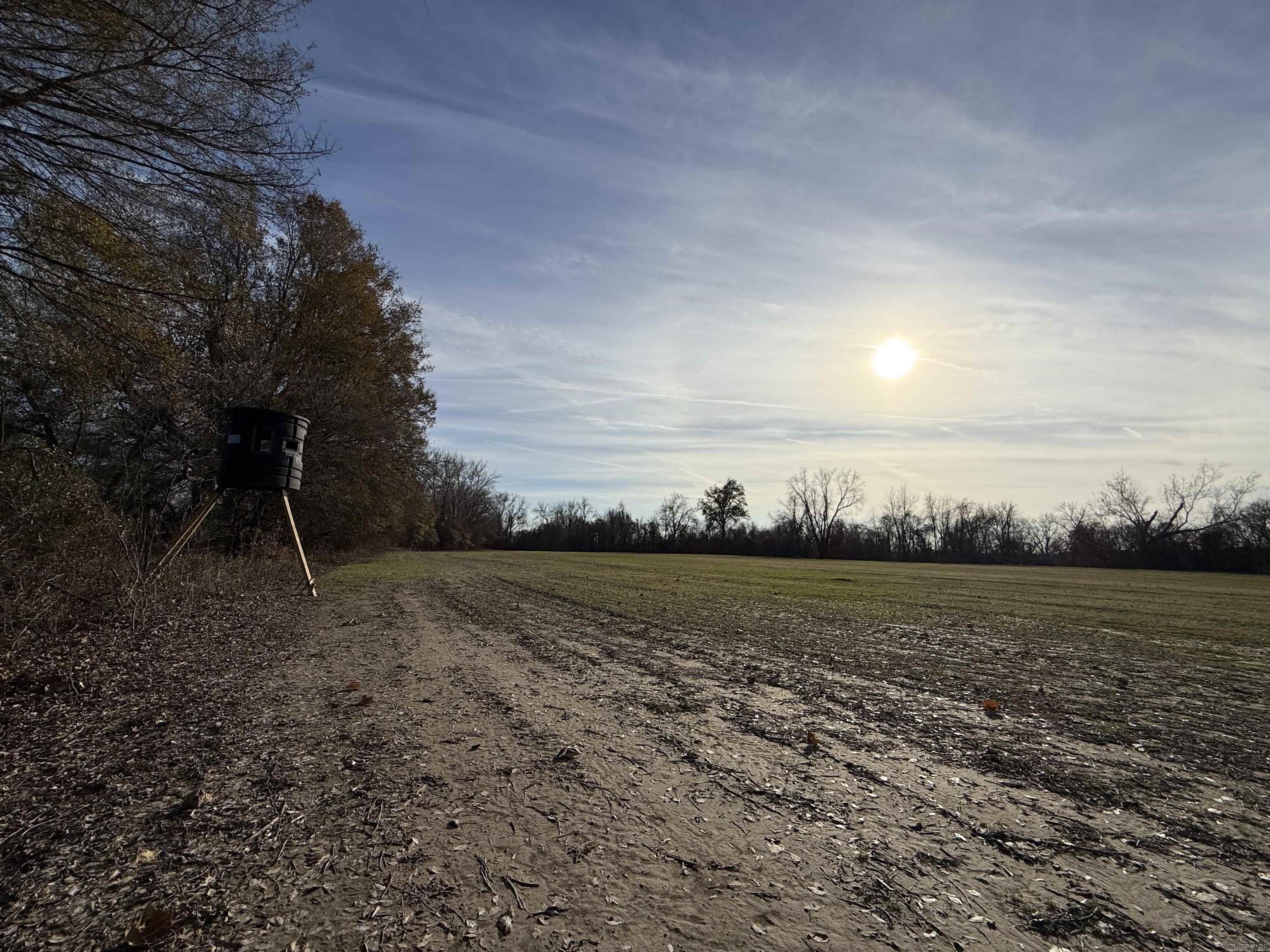 00 sfc 431  Widener, AR