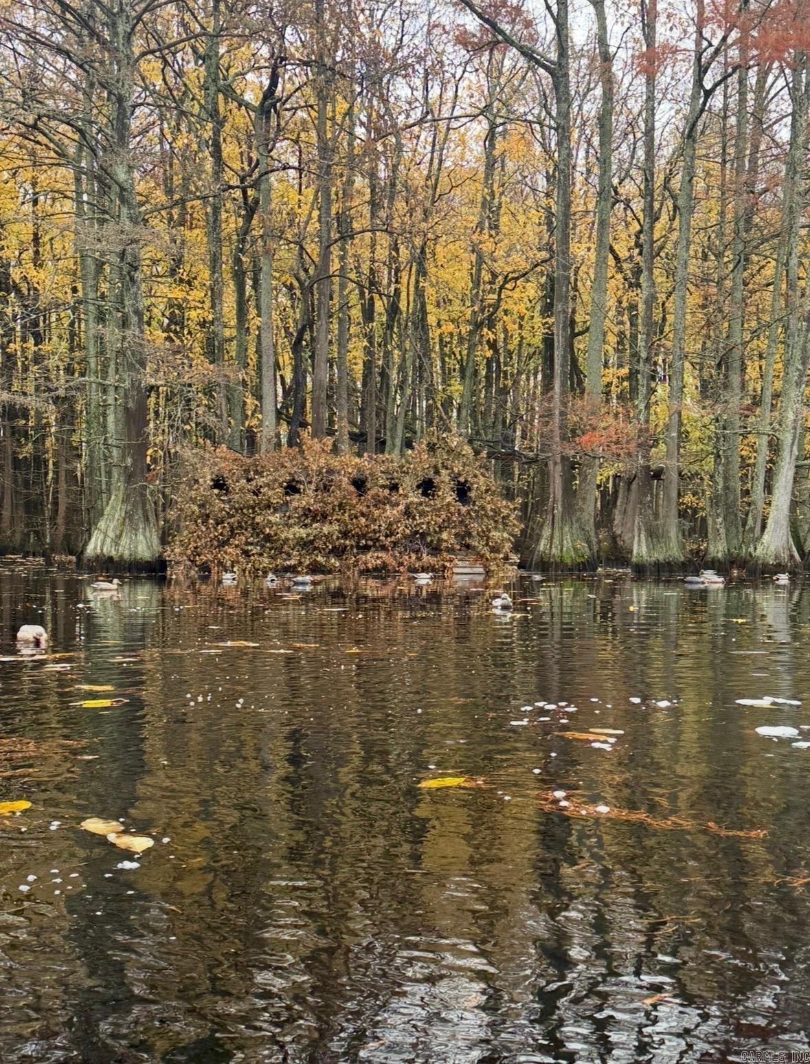 00 sfc 431  Widener, AR