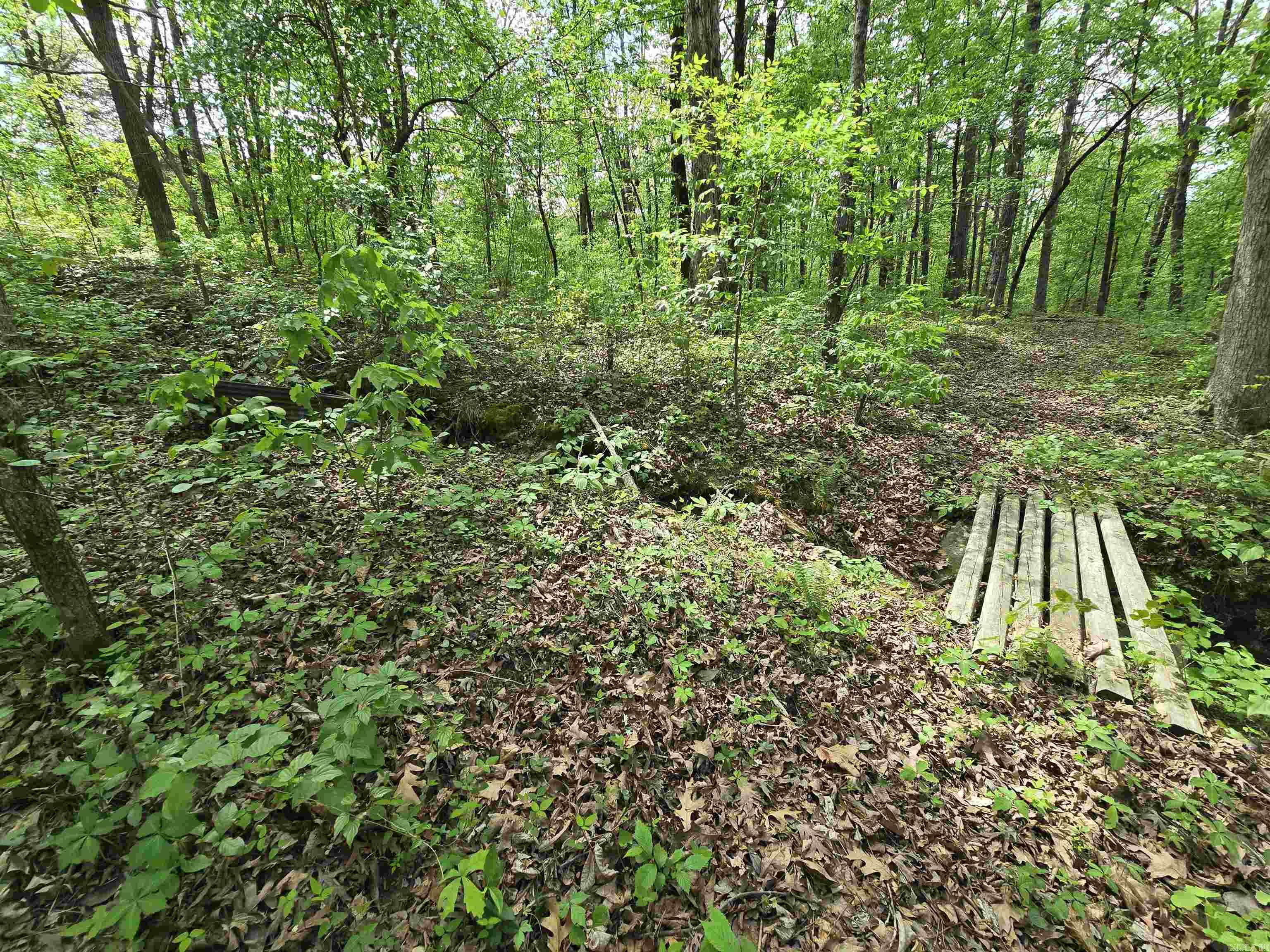 1720 Greers Ferry  Drasco, AR