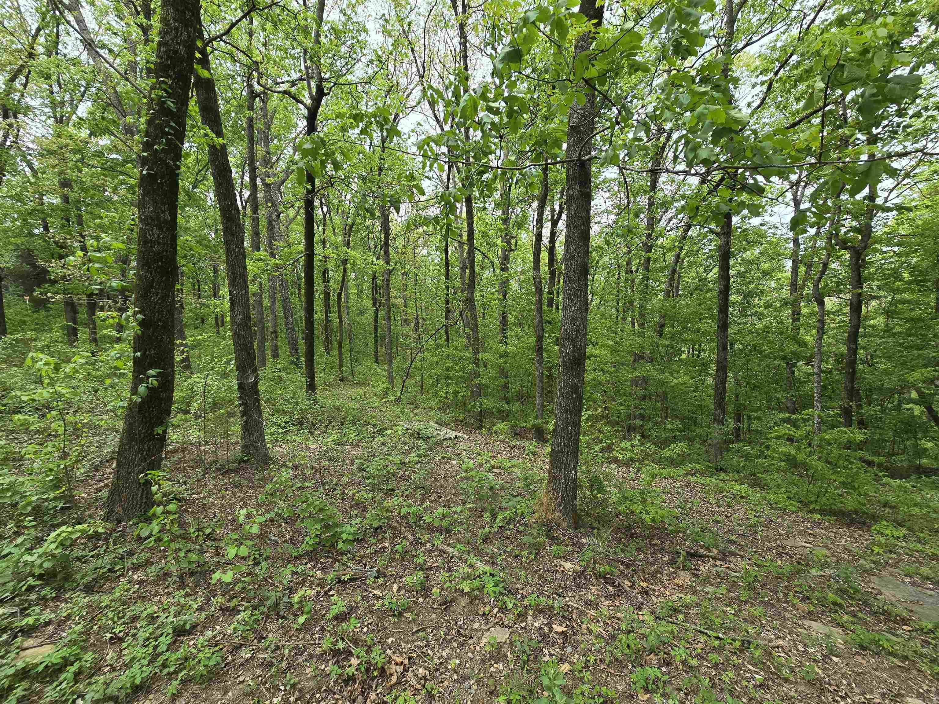 1720 Greers Ferry  Drasco, AR