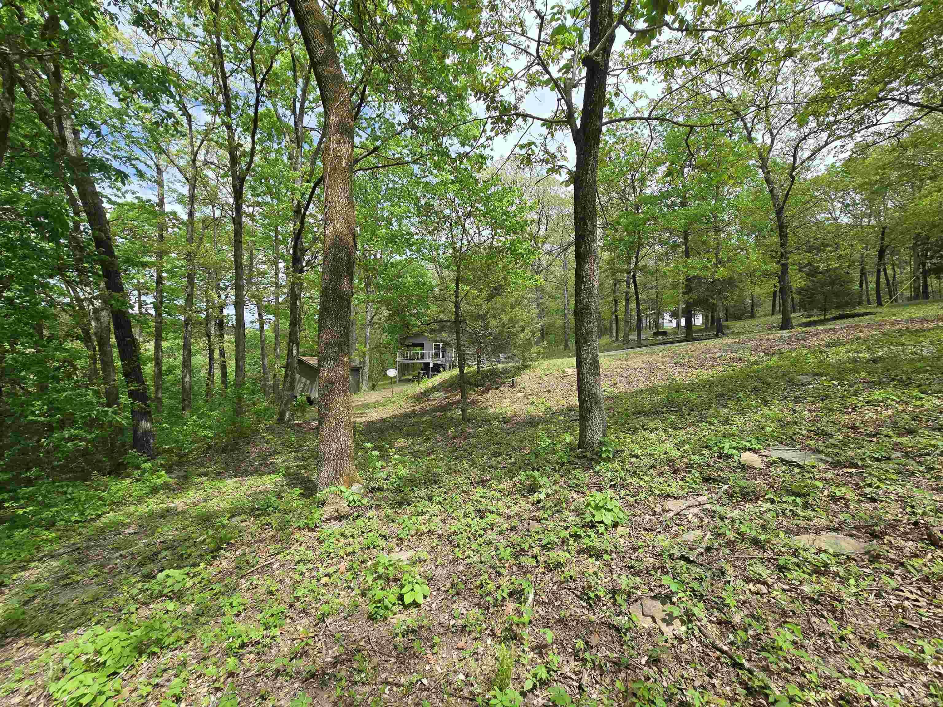 1720 Greers Ferry  Drasco, AR