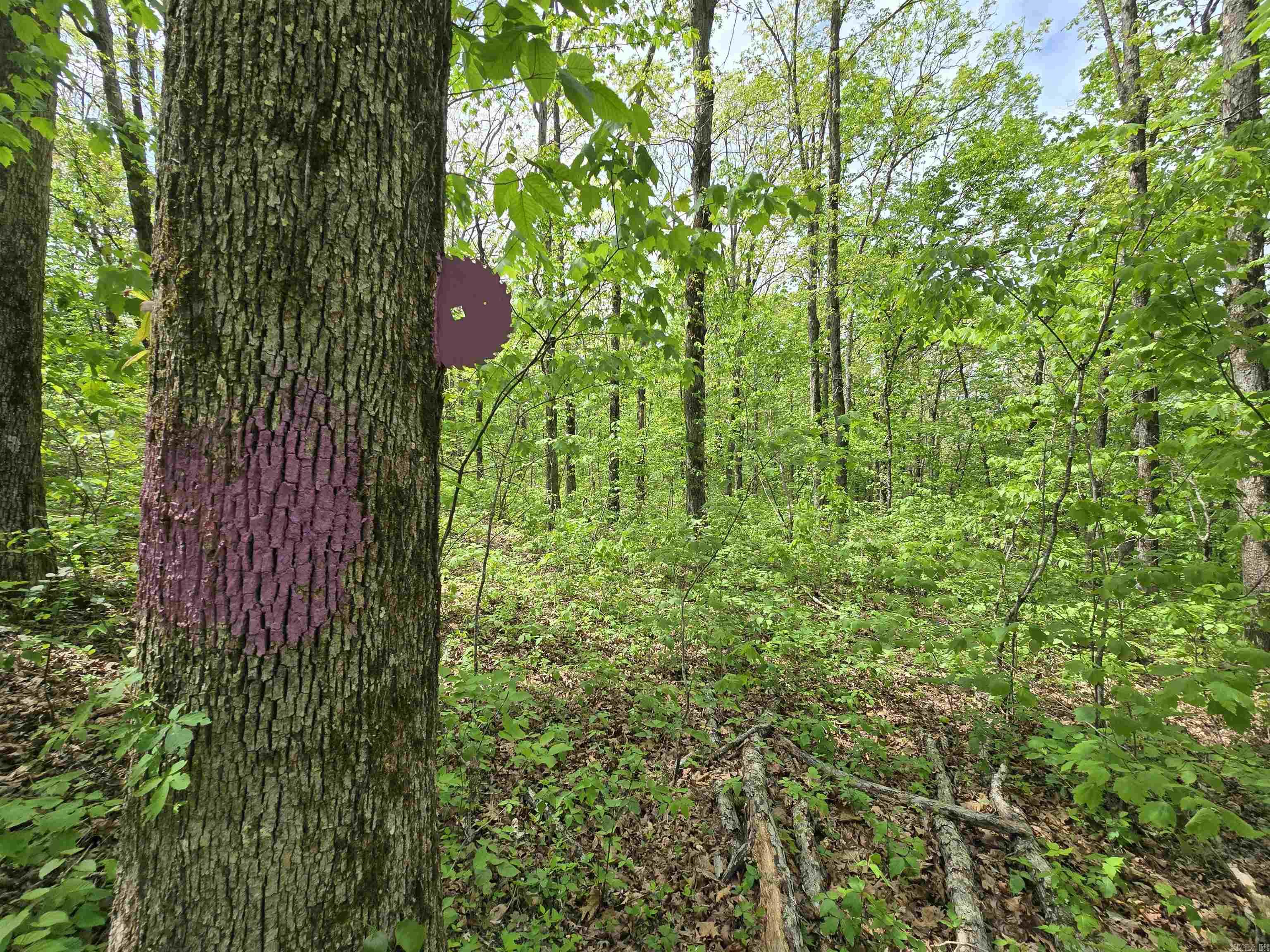 1720 Greers Ferry  Drasco, AR