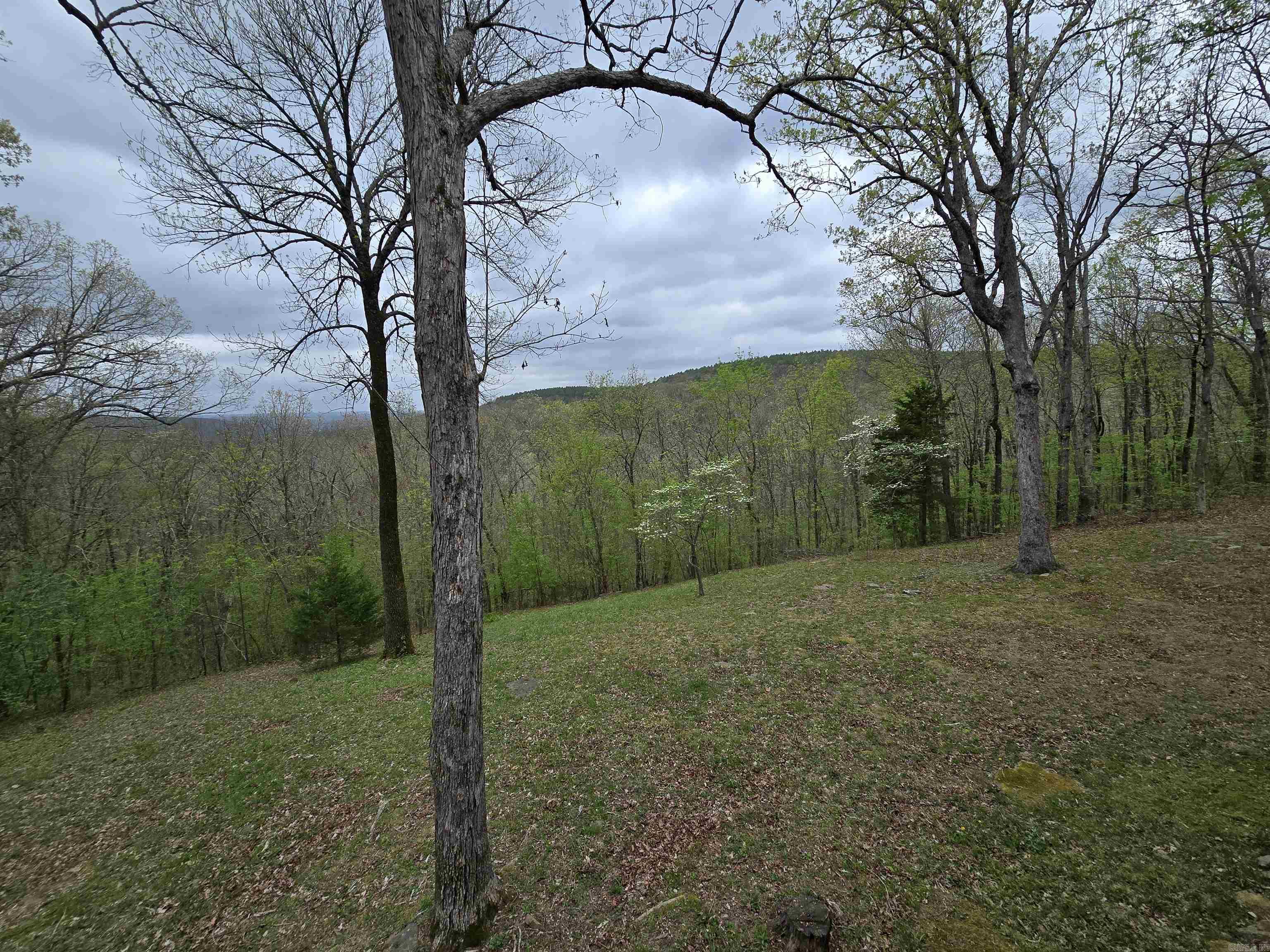 1720 Greers Ferry  Drasco, AR