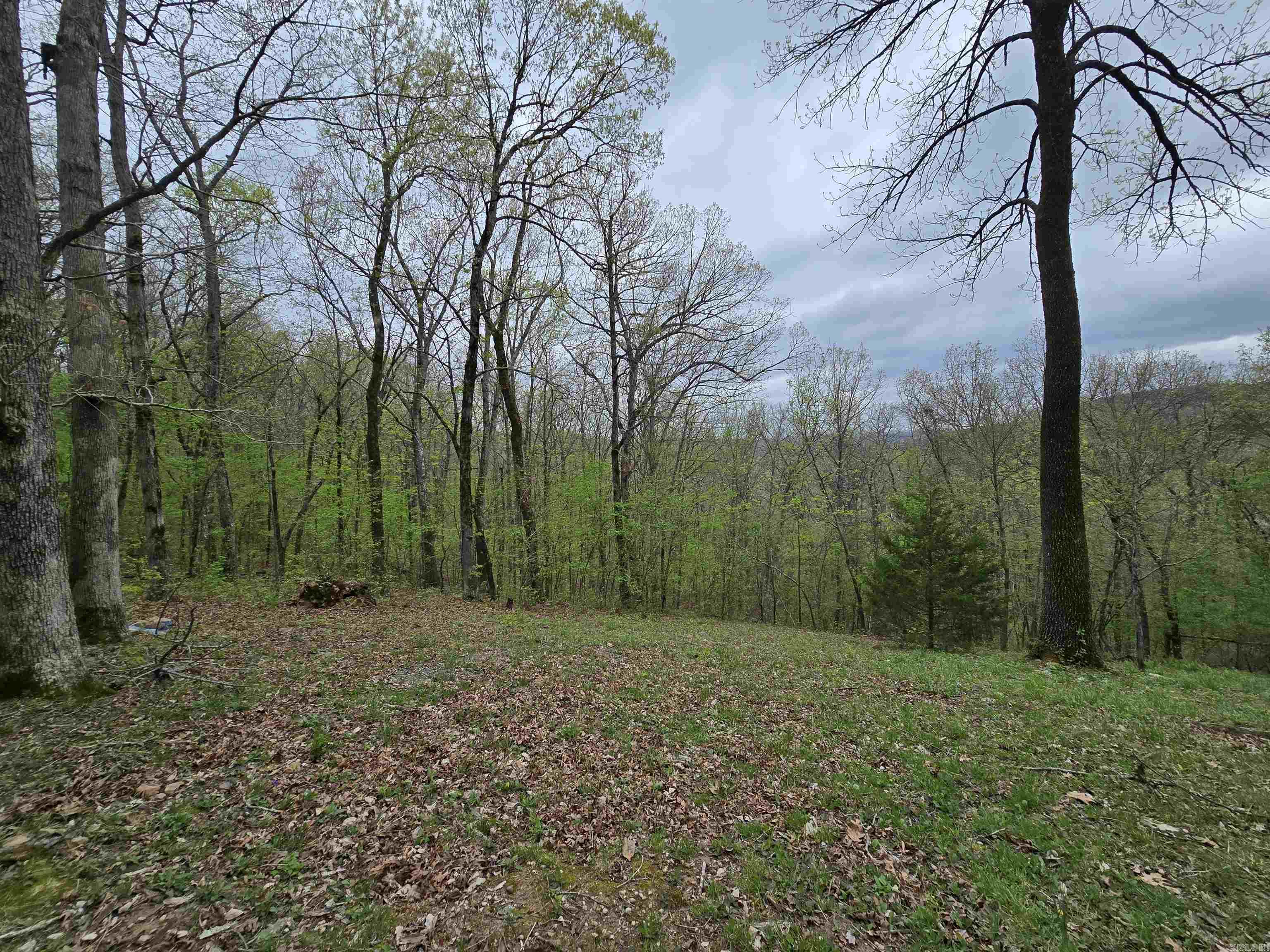 1720 Greers Ferry  Drasco, AR