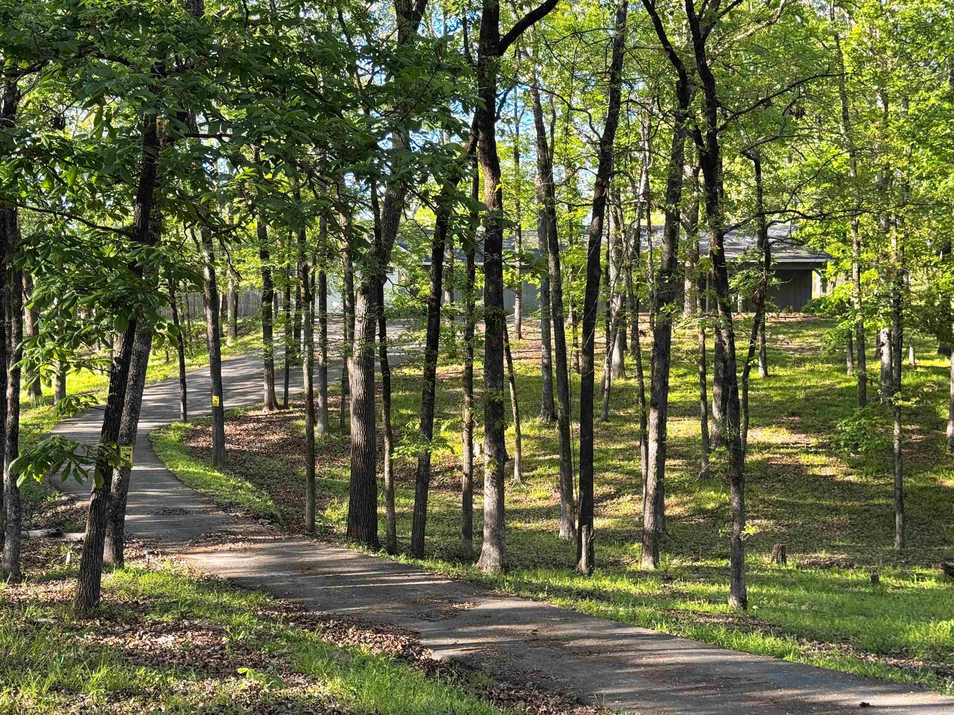 134 Joel  Hot Springs, AR