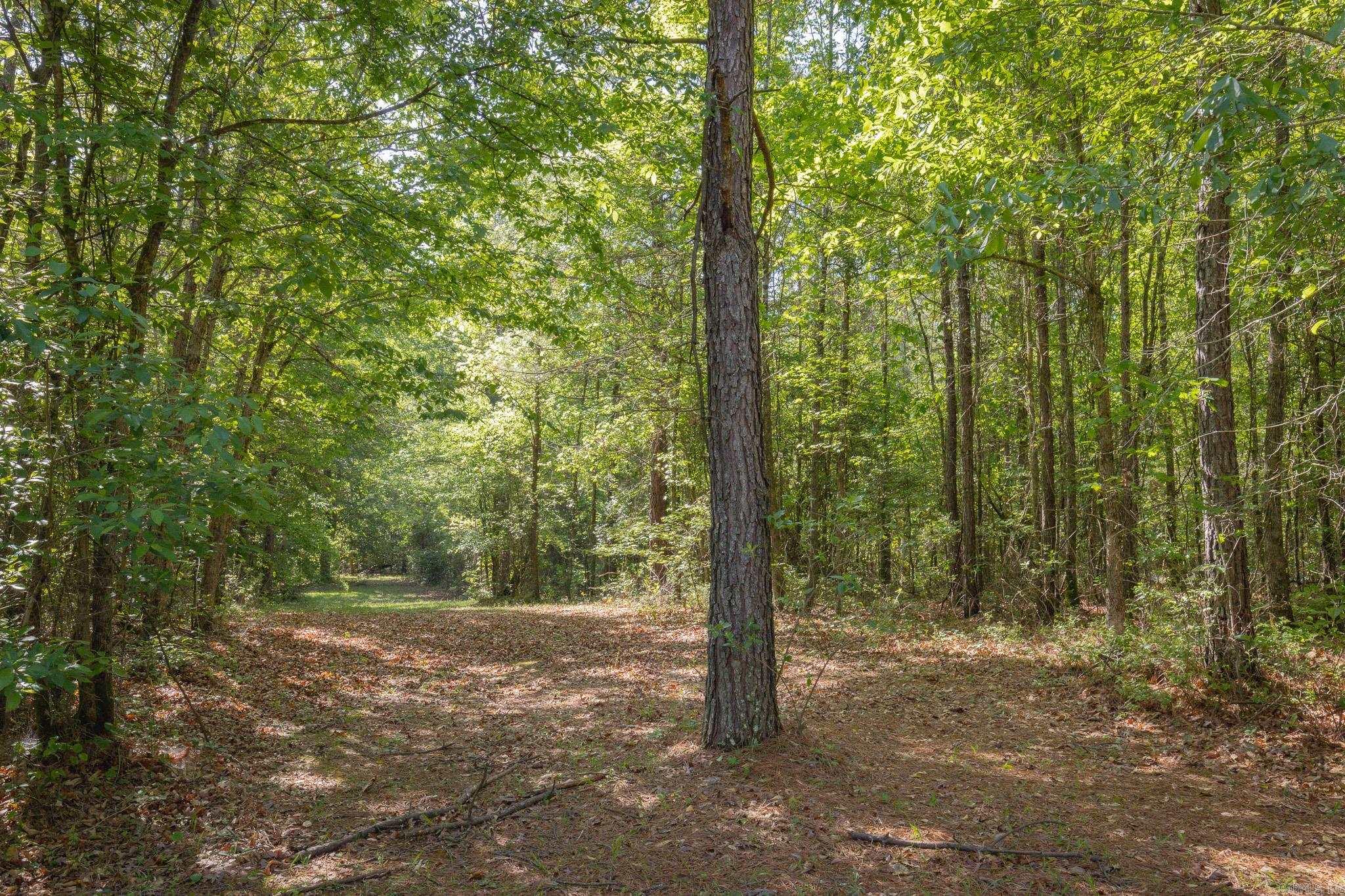 0 County Rd 8  Sheridan, AR